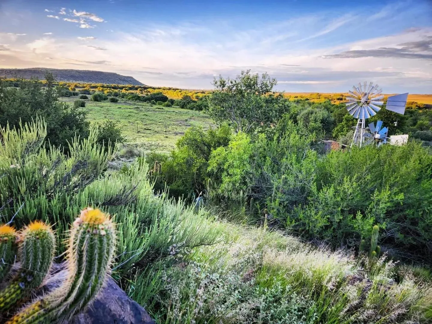 Garden in Big Sky Ranch