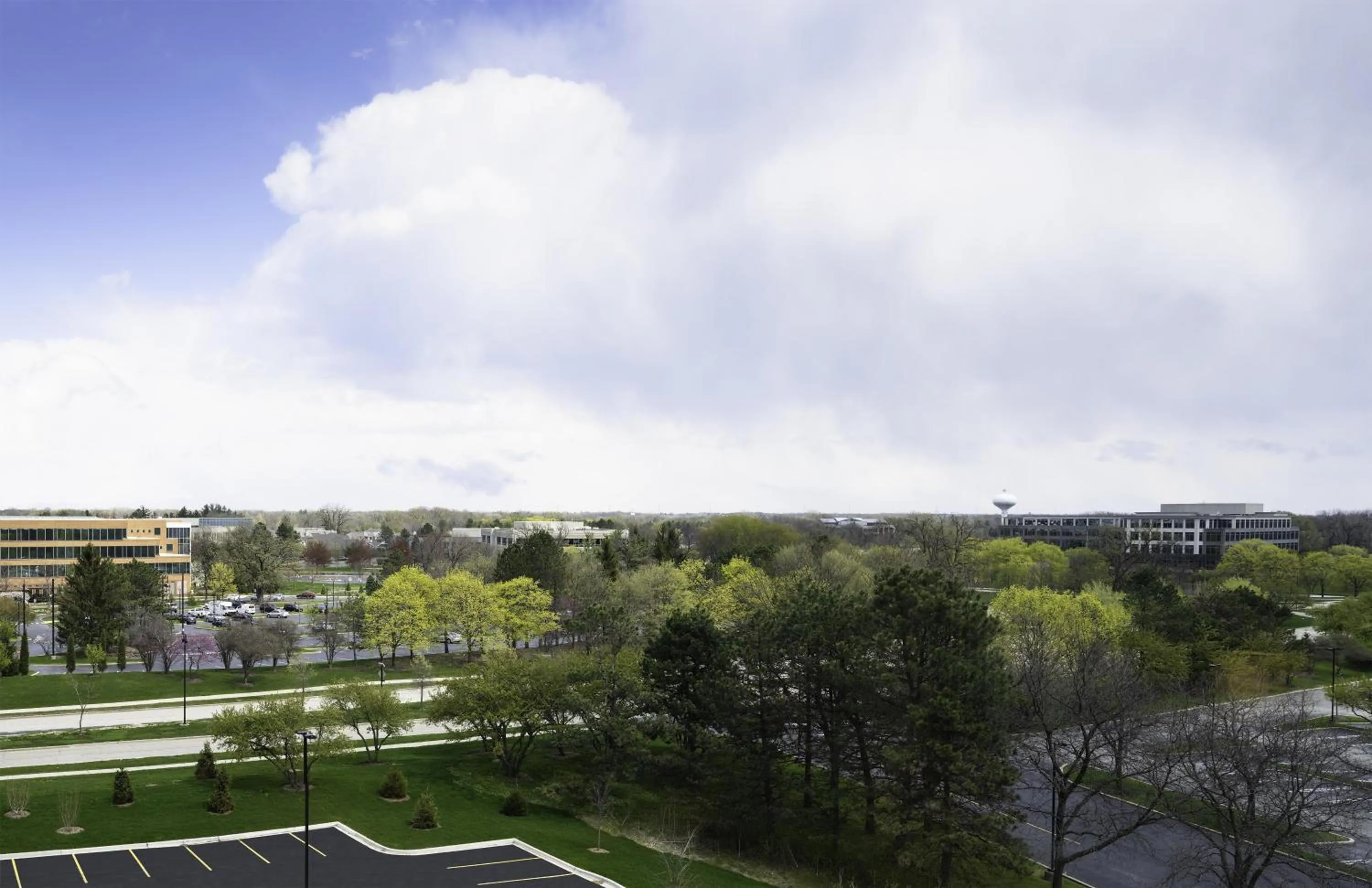 View (from property/room) in The Forester Hotel, part of Unscripted by Hyatt