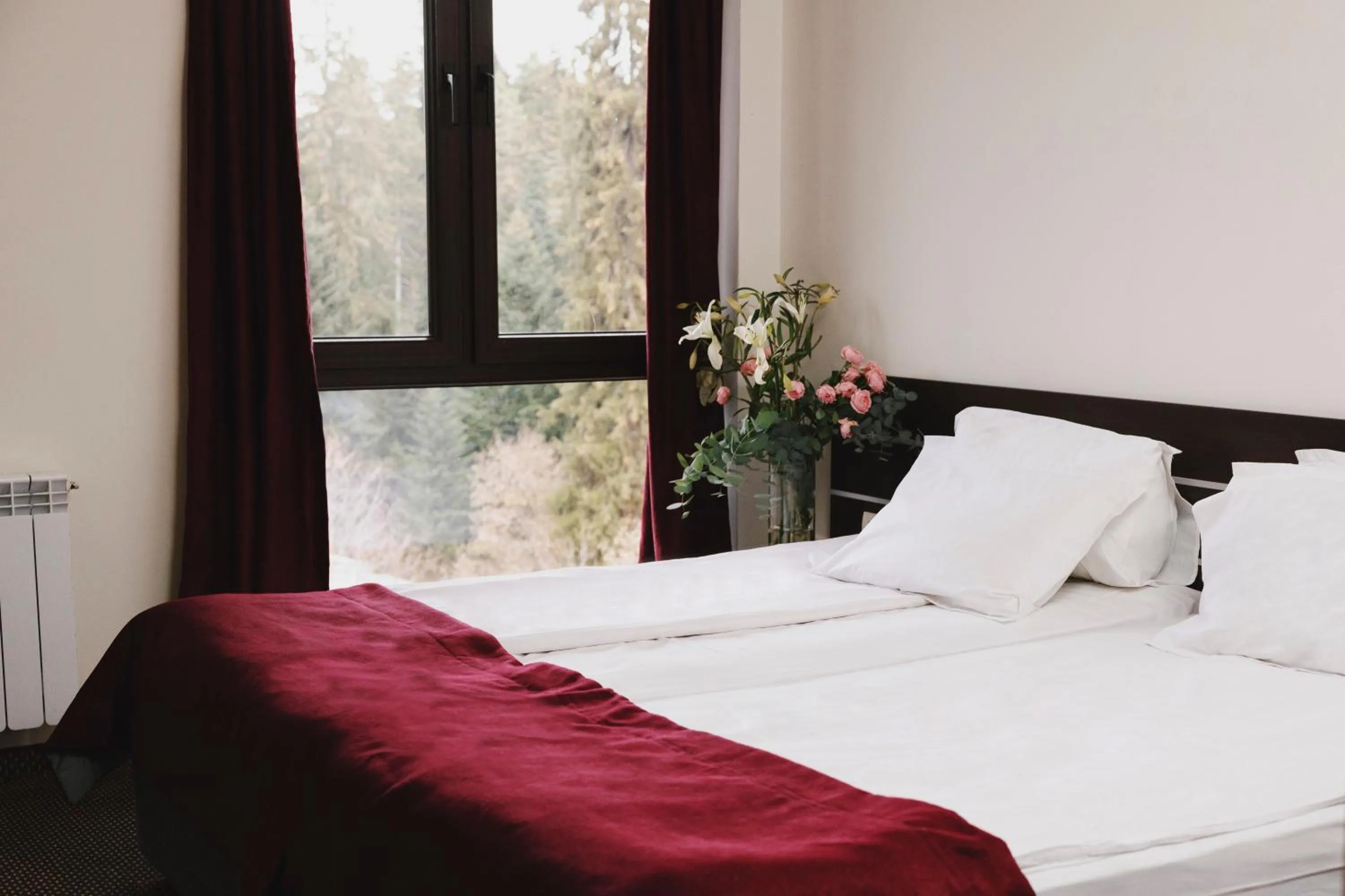 Bed in Borovets Green Hotel