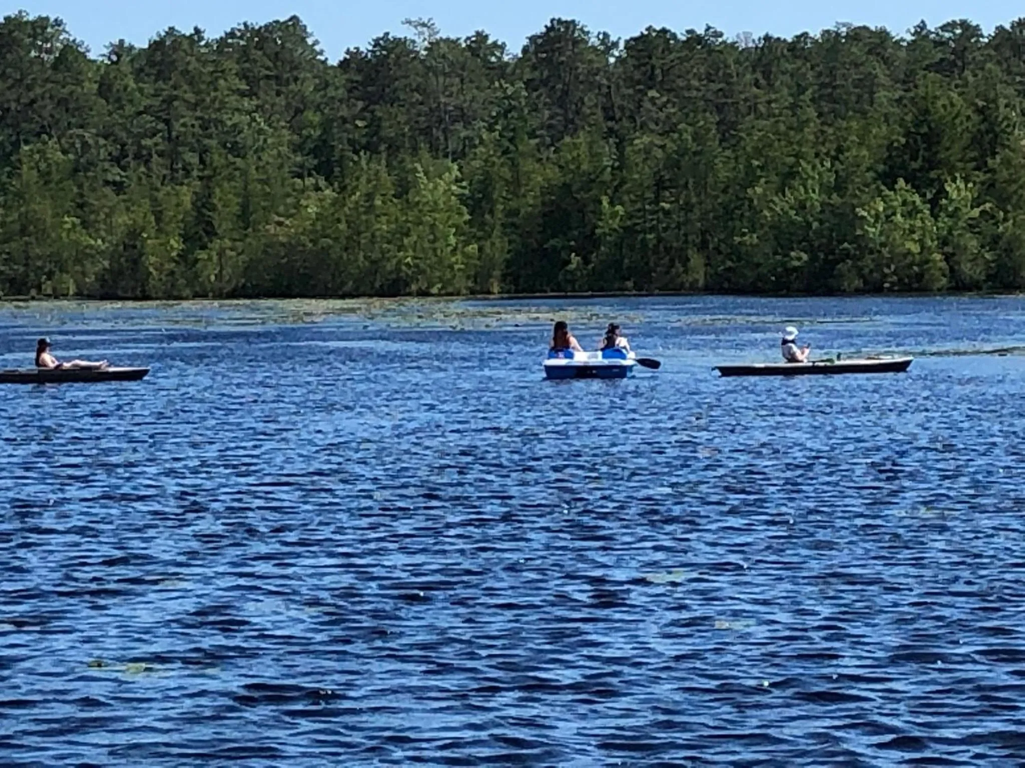 Natural landscape in Swan Lake Resort