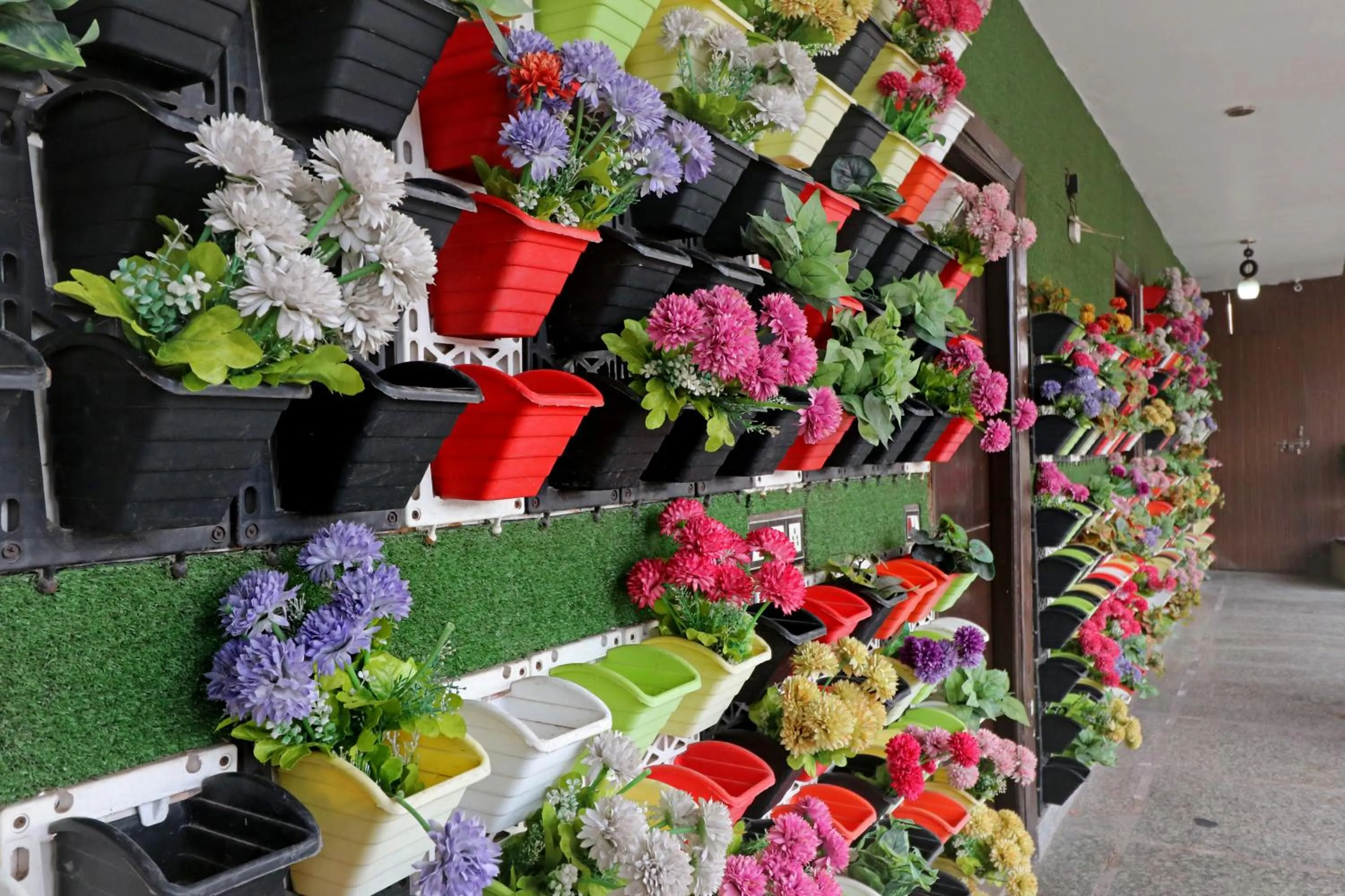 Garden in Hotel Mannat international by Mannat