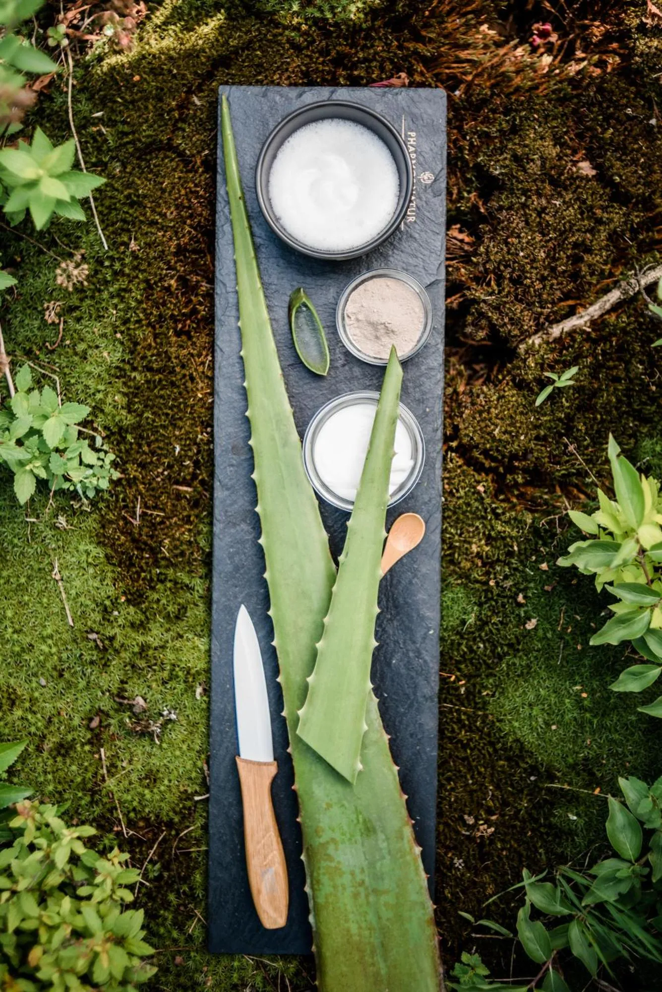 Spa and wellness centre/facilities in Hotel Deimann