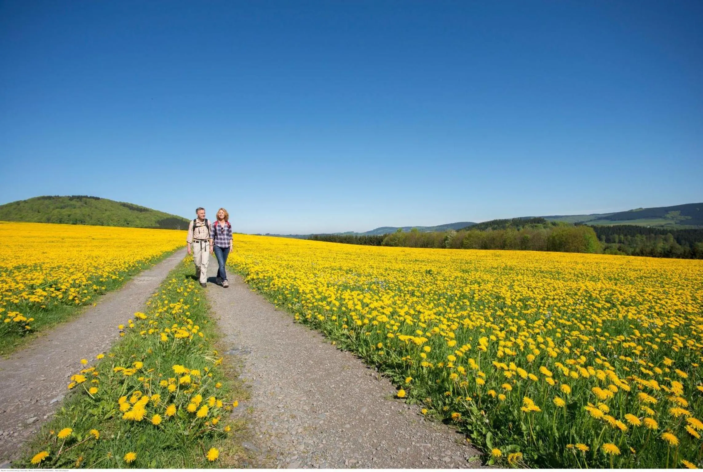 Hiking in Hotel Deimann