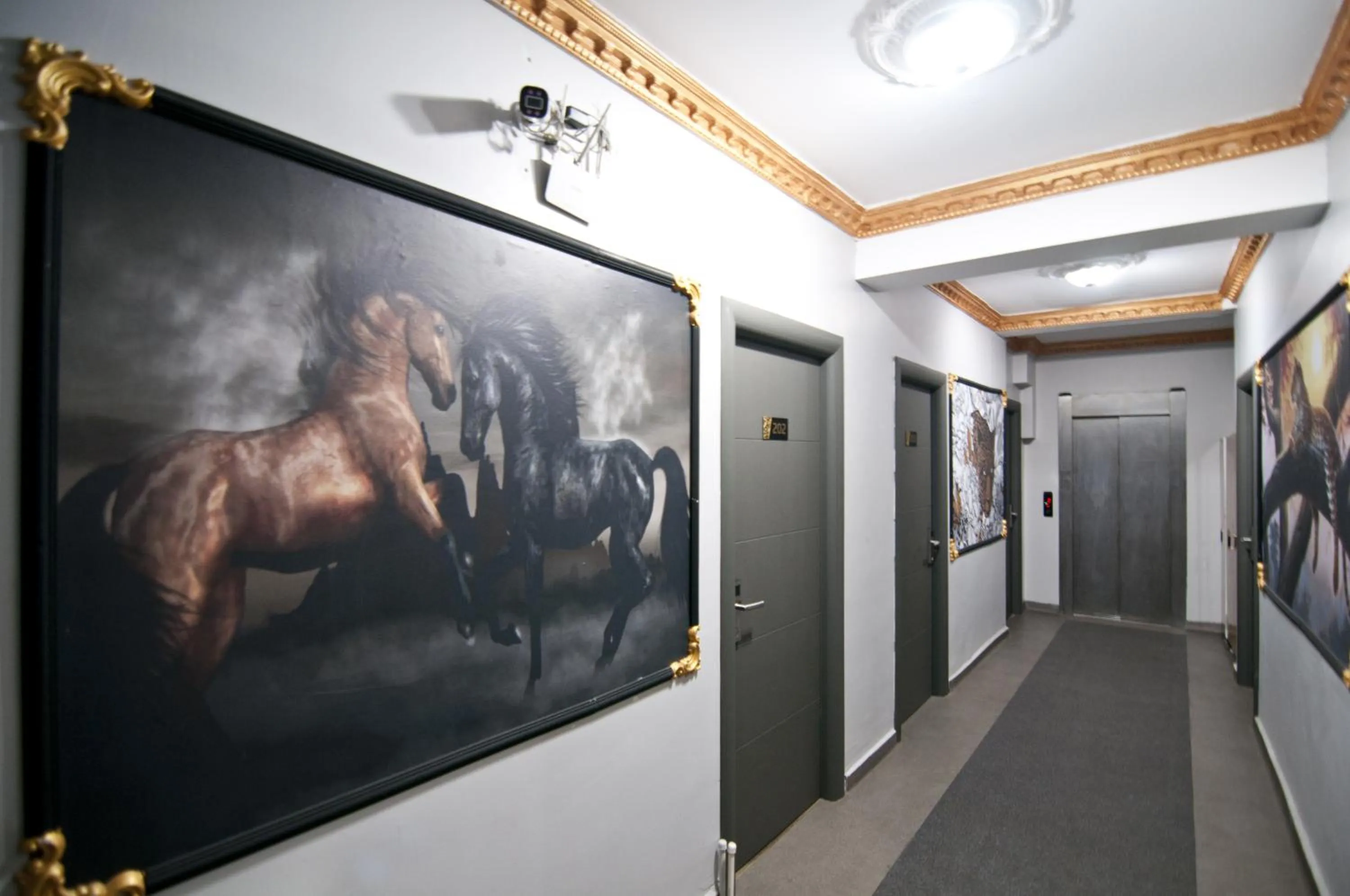 TV and multimedia in Golden Horn Park Hotel