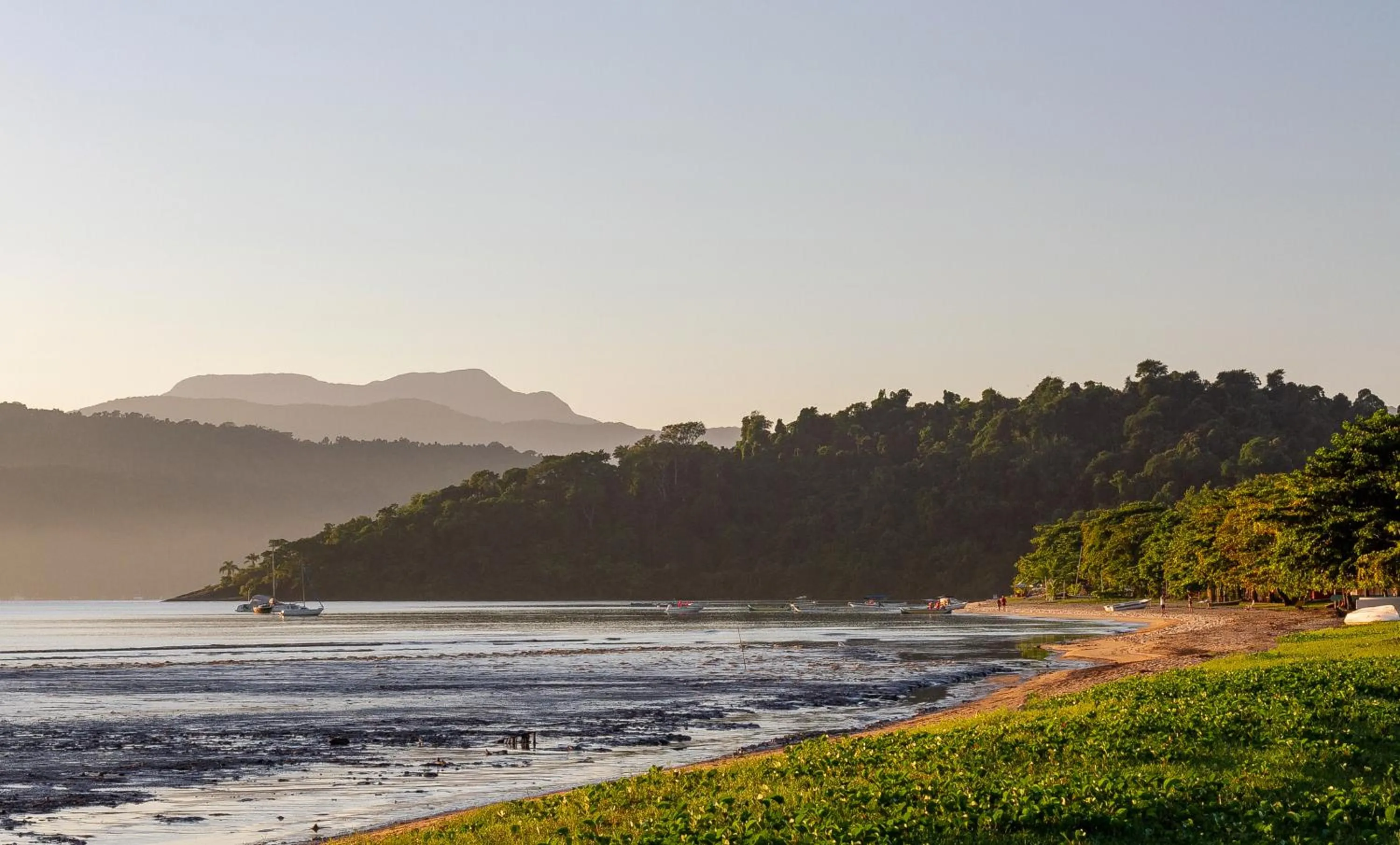 Natural landscape in Calamar Flats Paraty