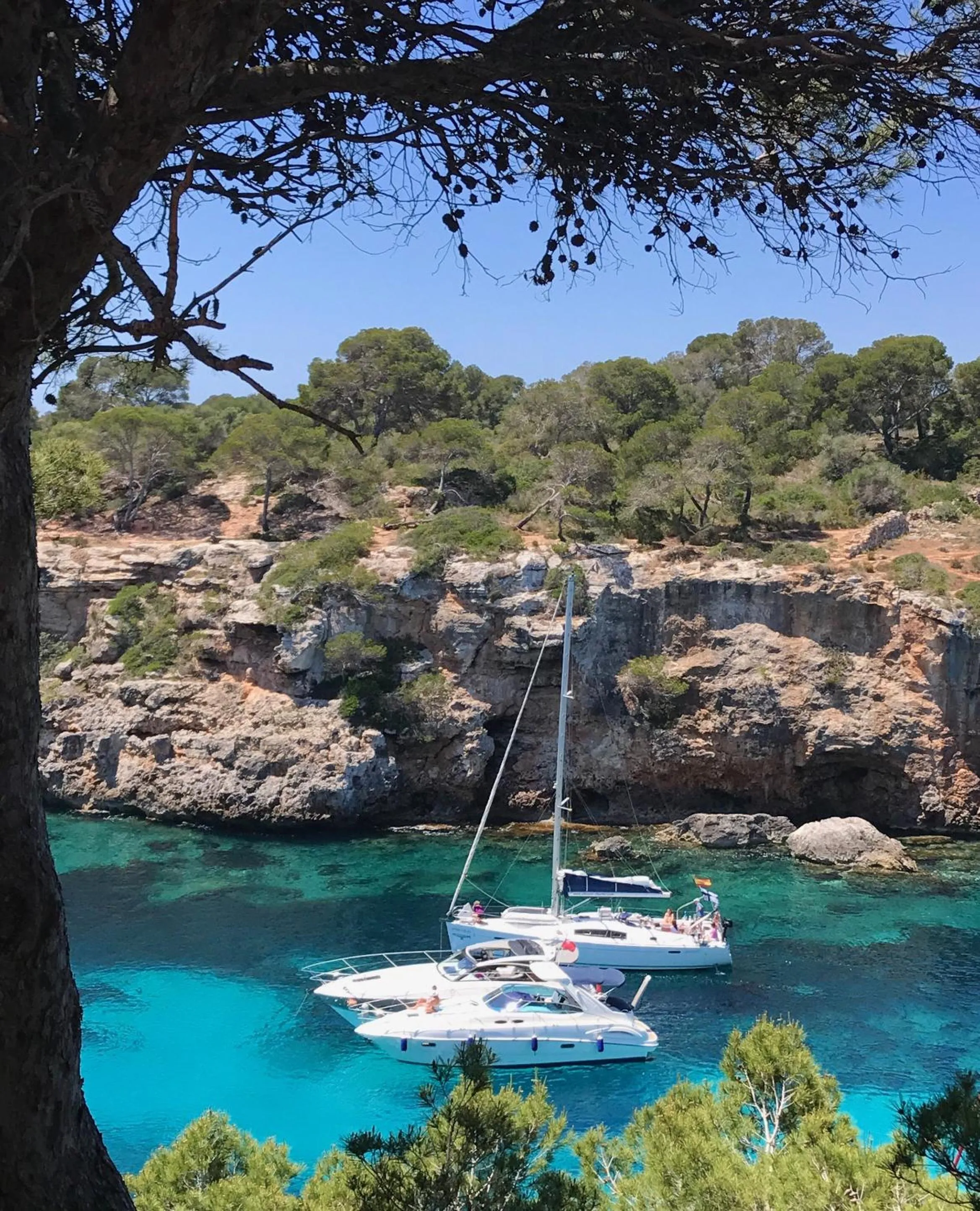 Natural landscape in Hostal Atlanta