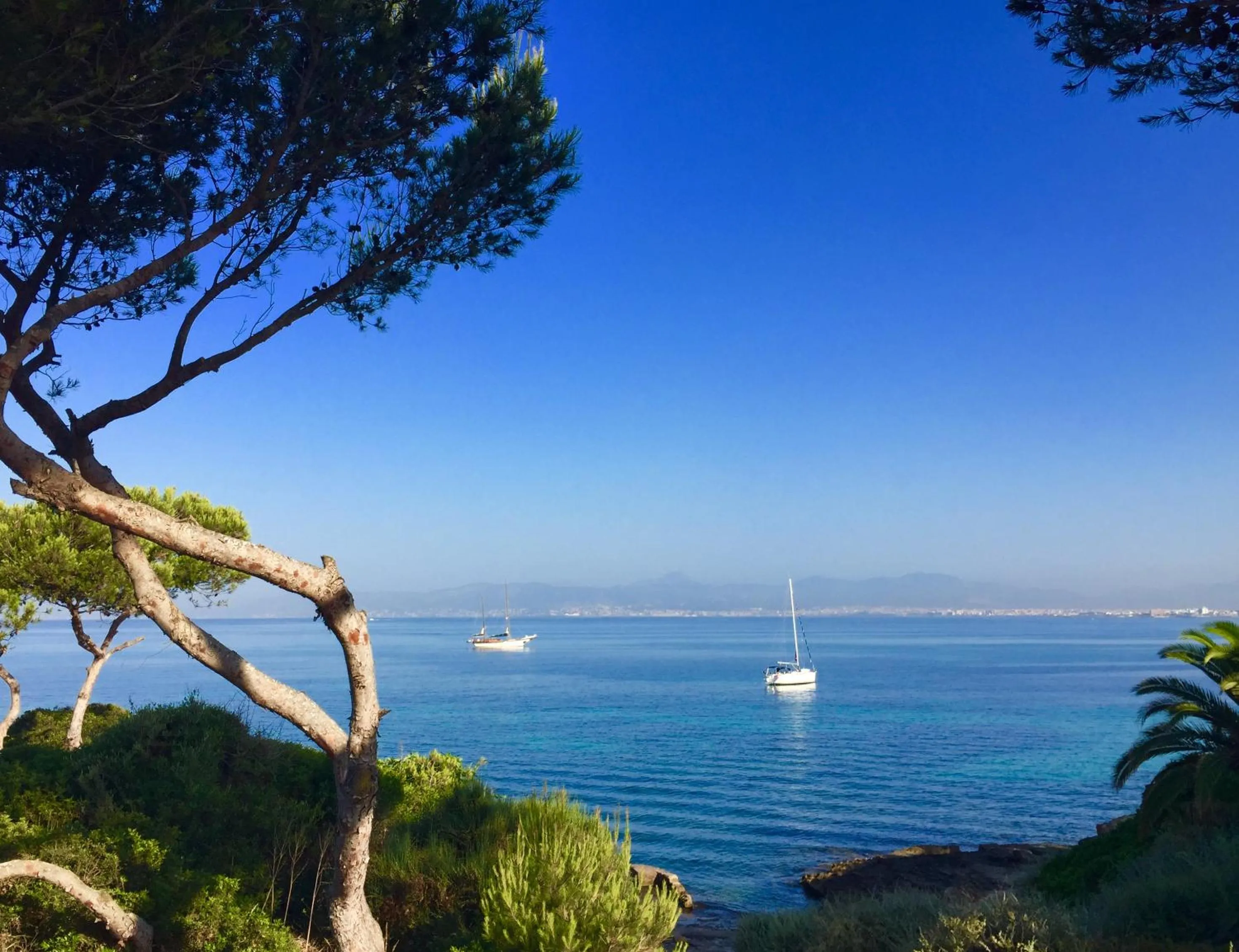 Natural landscape in Hostal Atlanta