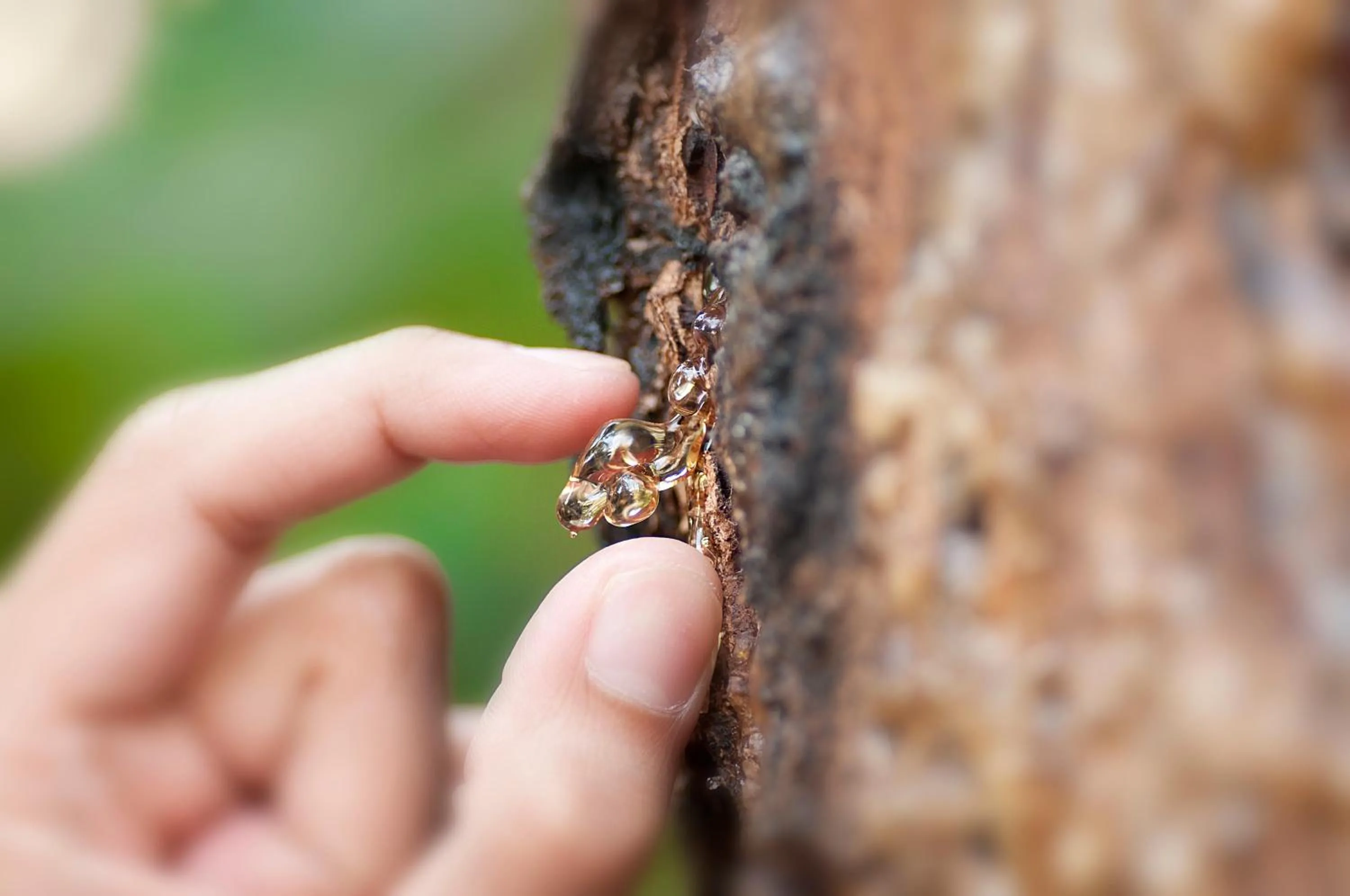 Spa and wellness centre/facilities in Al Nahda Resort & Spa