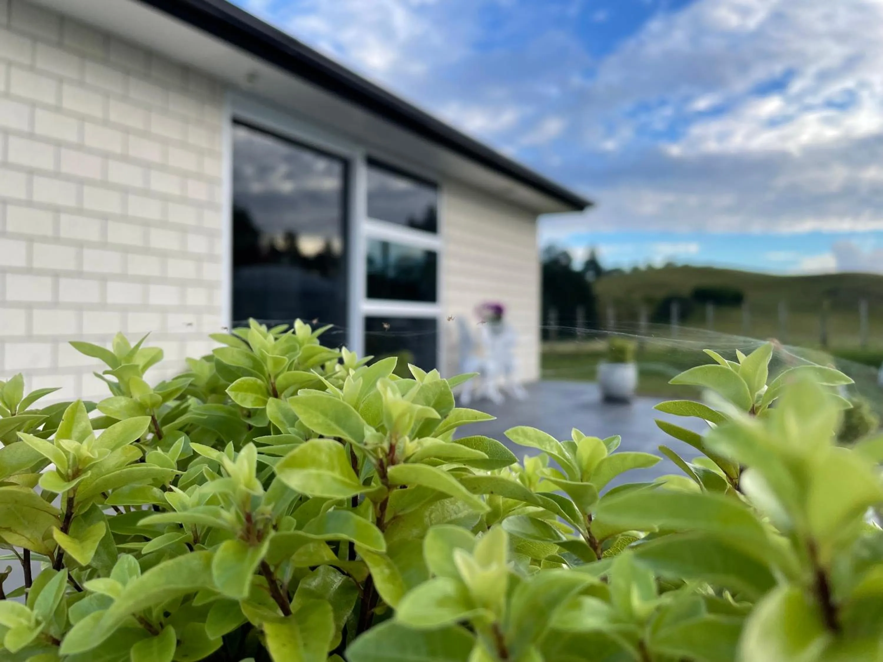 Facade/entrance in Veld View Bed and Breakfast