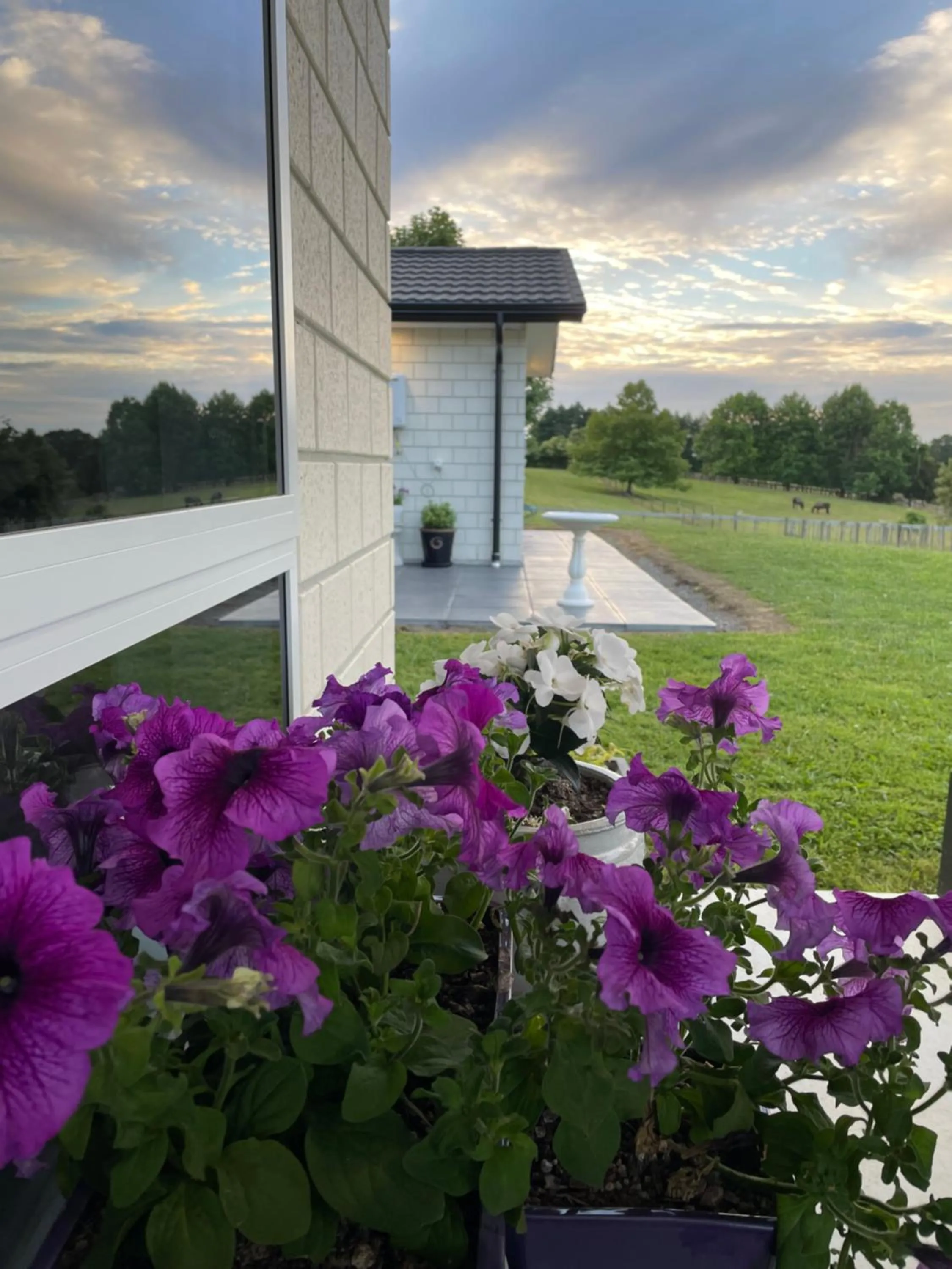 Garden in Veld View Bed and Breakfast