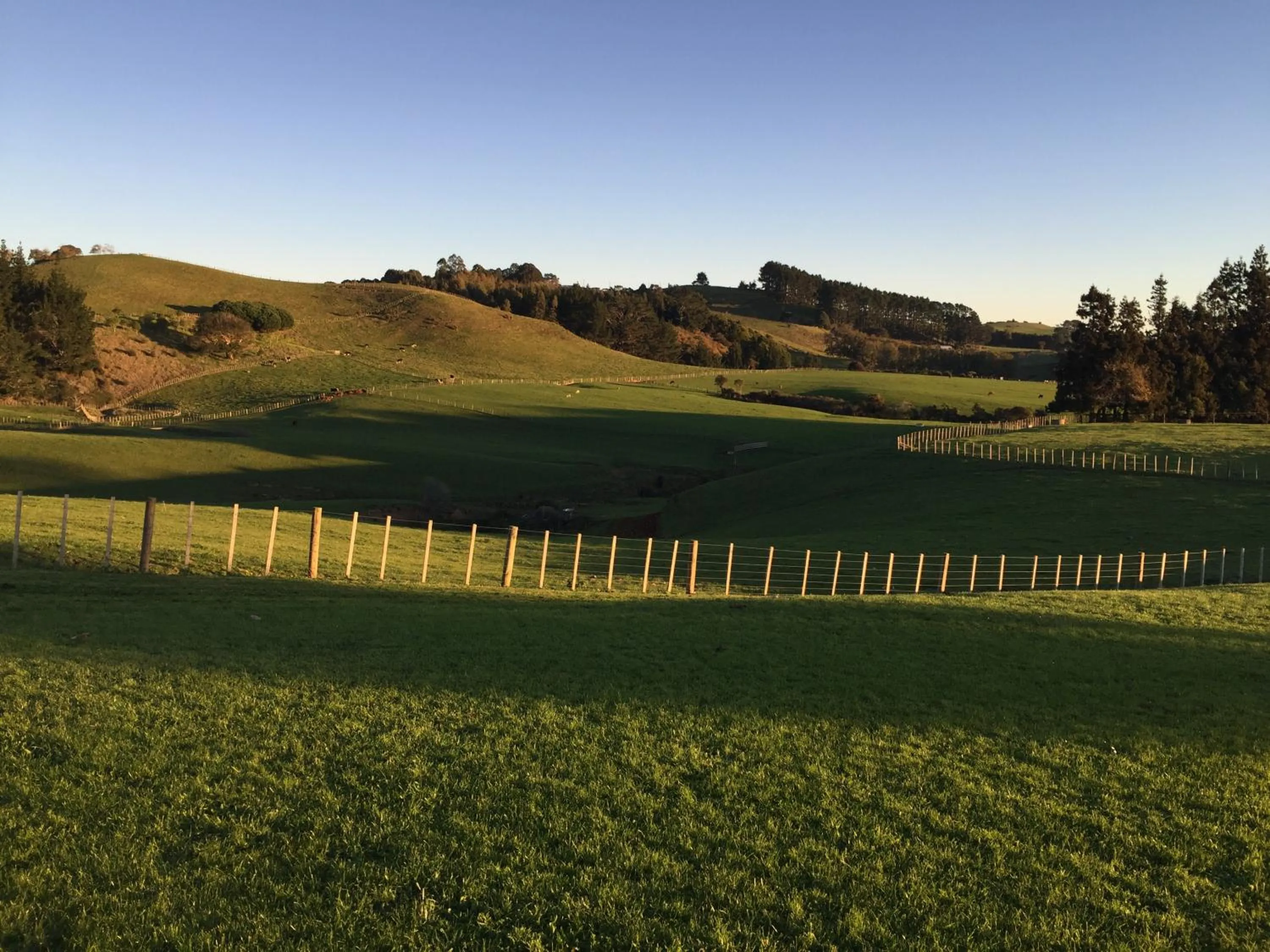 View (from property/room) in Veld View Bed and Breakfast