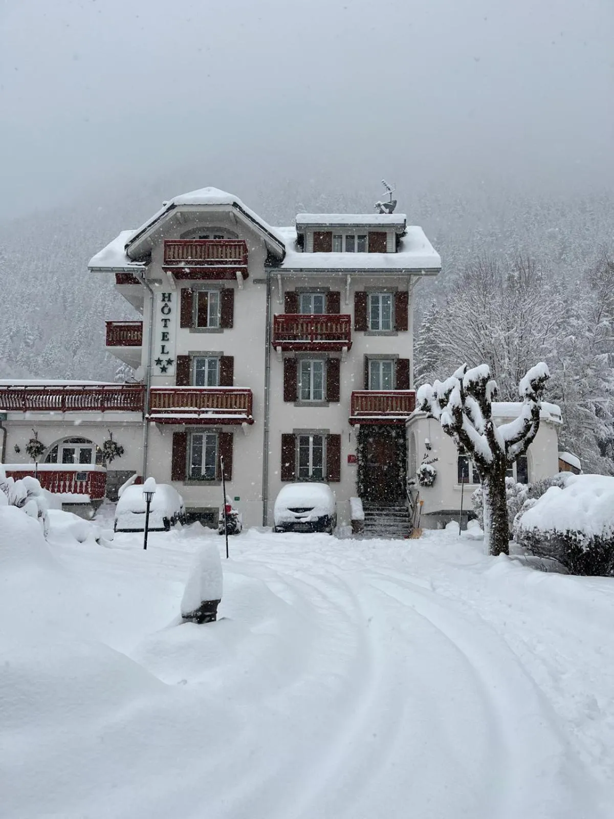 Property building in Chalet Hôtel La Sapinière