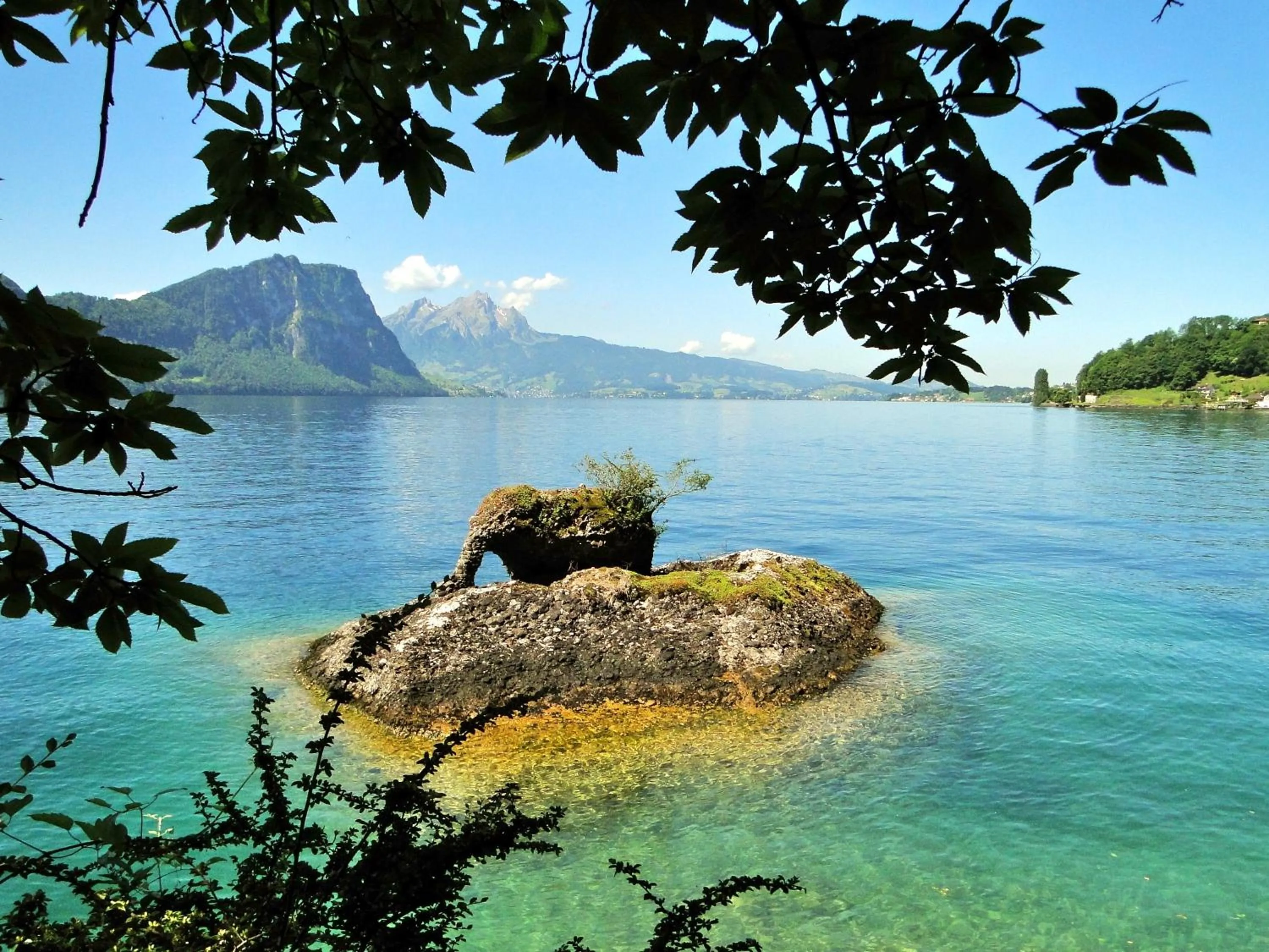 Other in Seehotel Gotthard