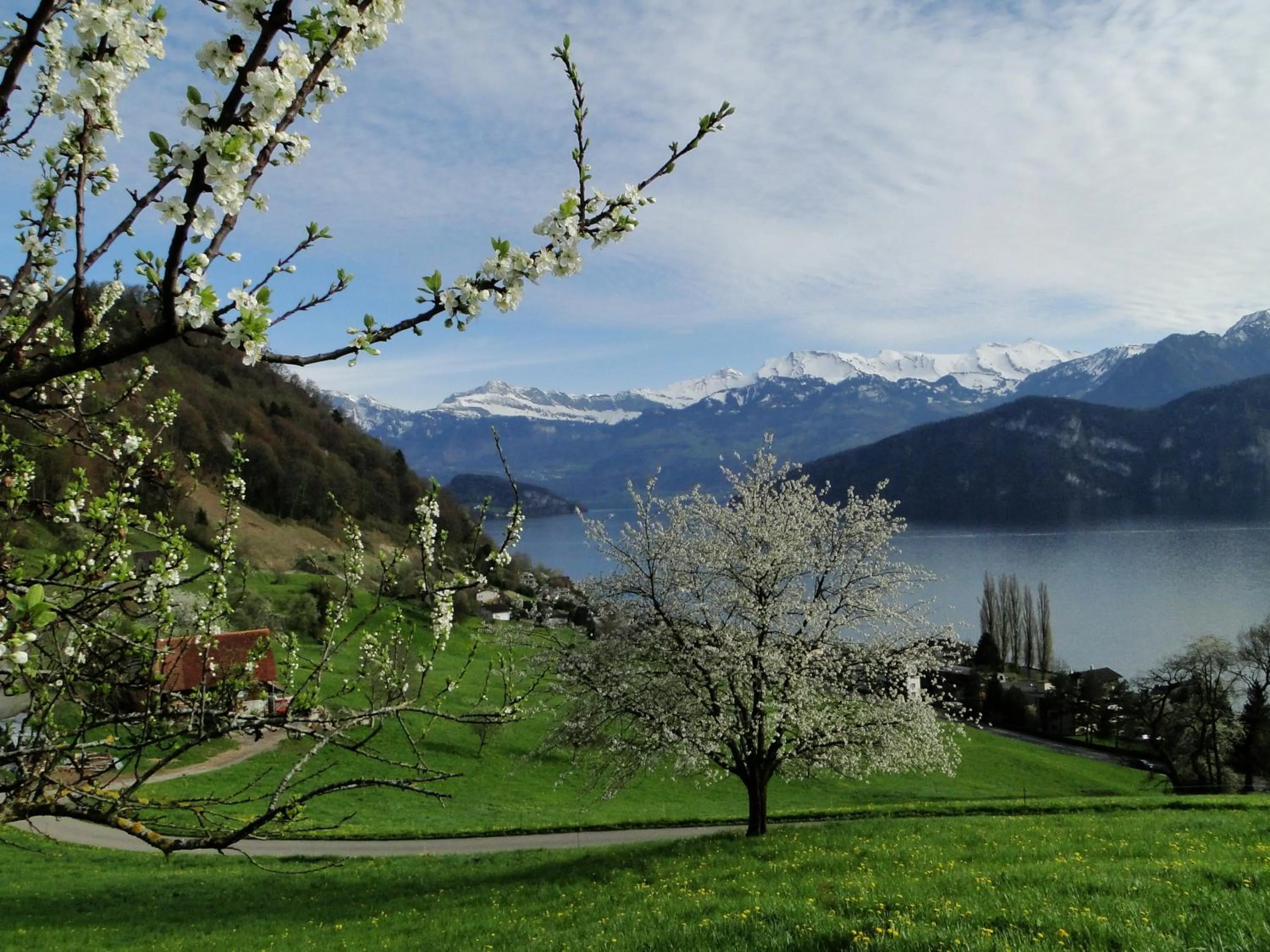 Area and facilities in Seehotel Gotthard