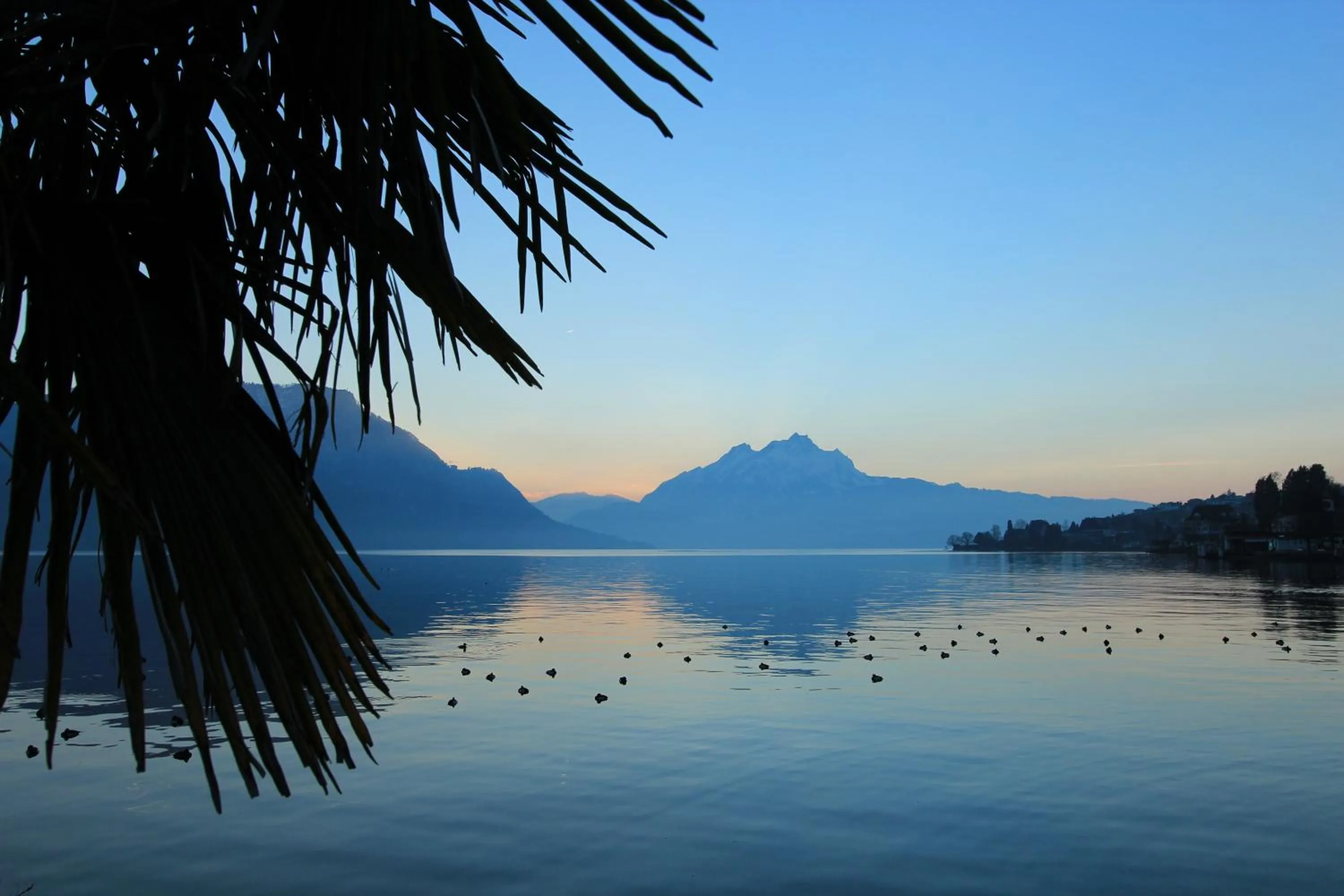 View (from property/room) in Seehotel Gotthard