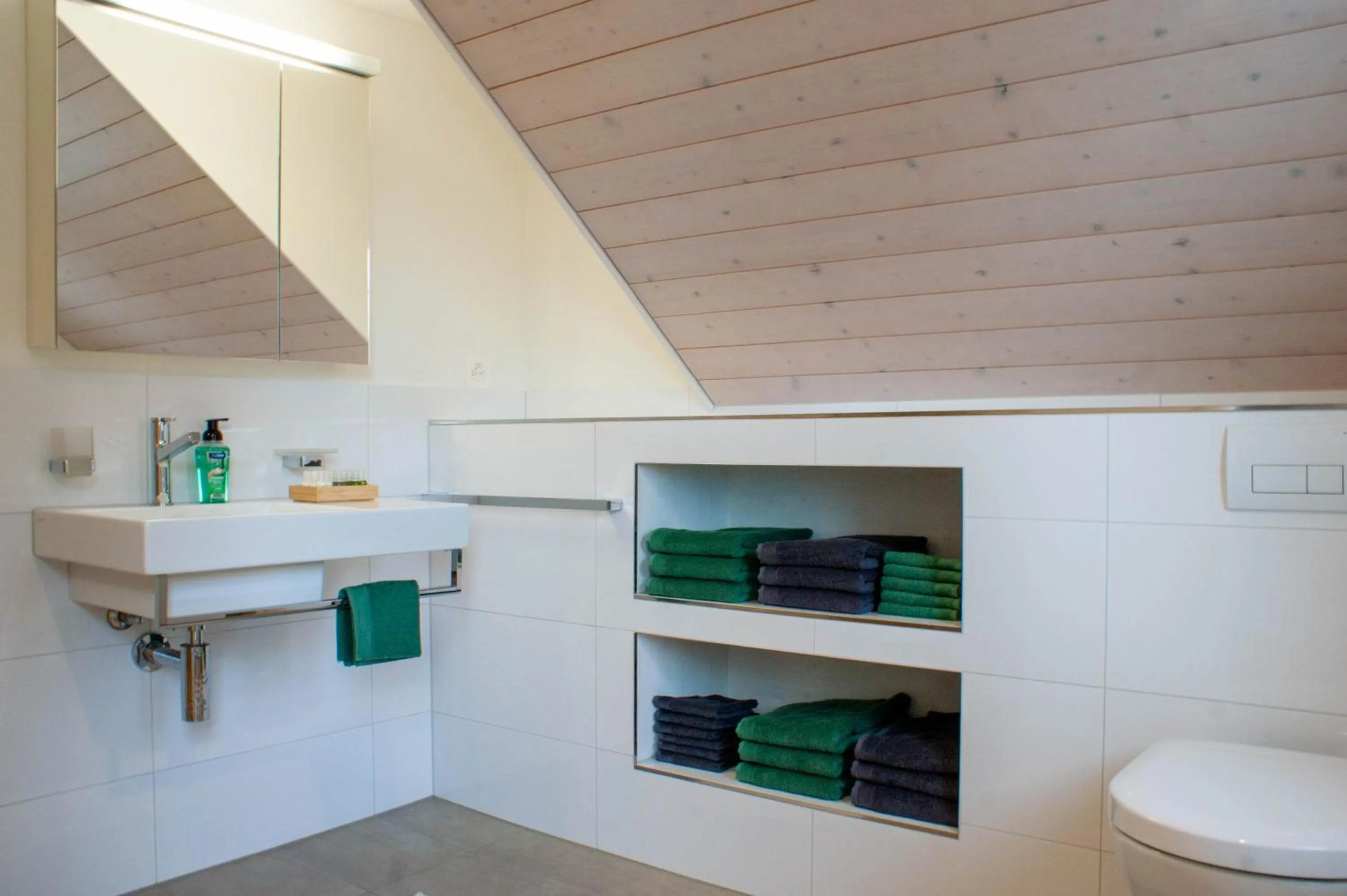 Bathroom in Budget rooms Pilatus - Alpnachstad