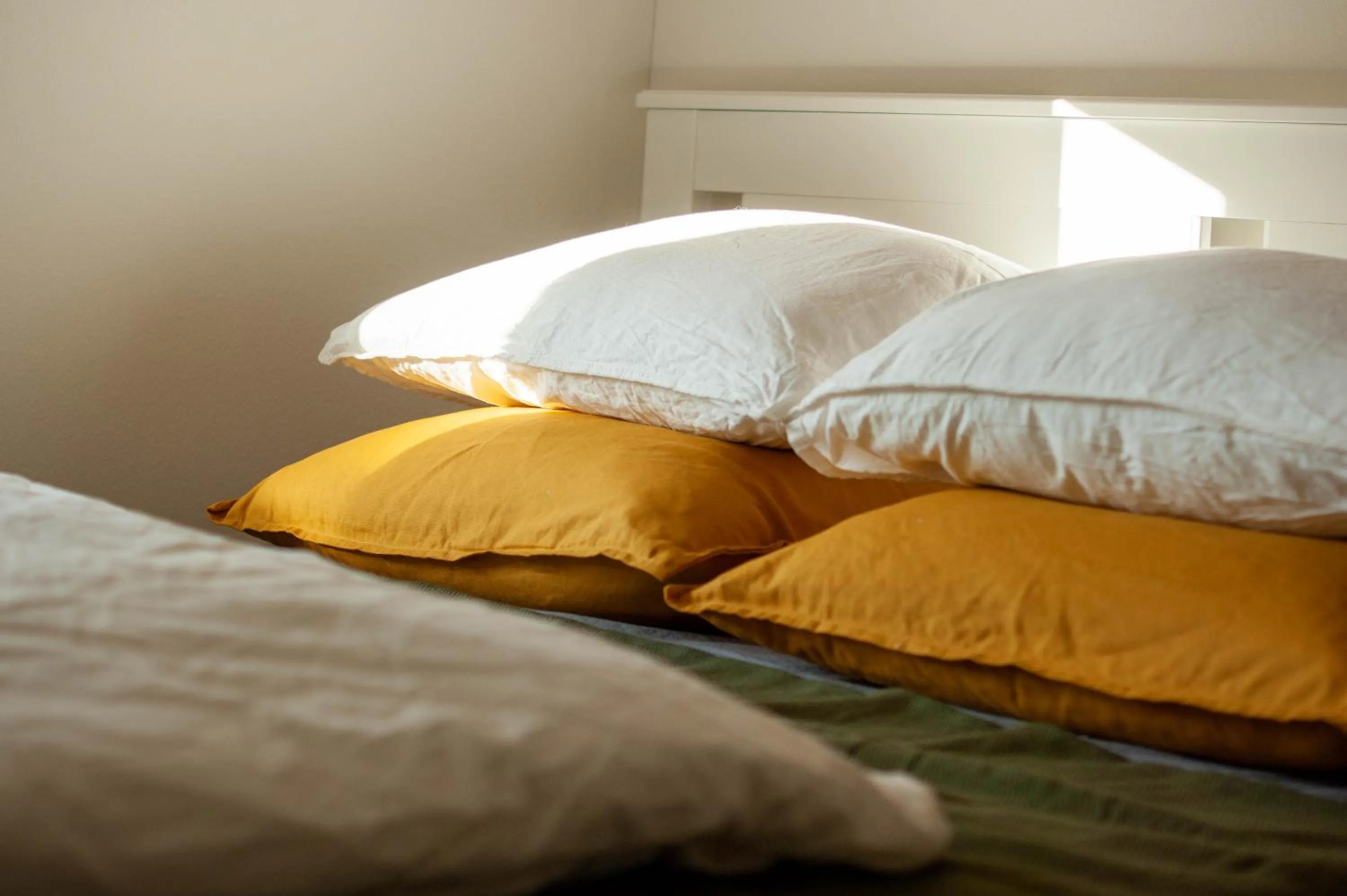 Bed in Budget rooms Pilatus - Alpnachstad