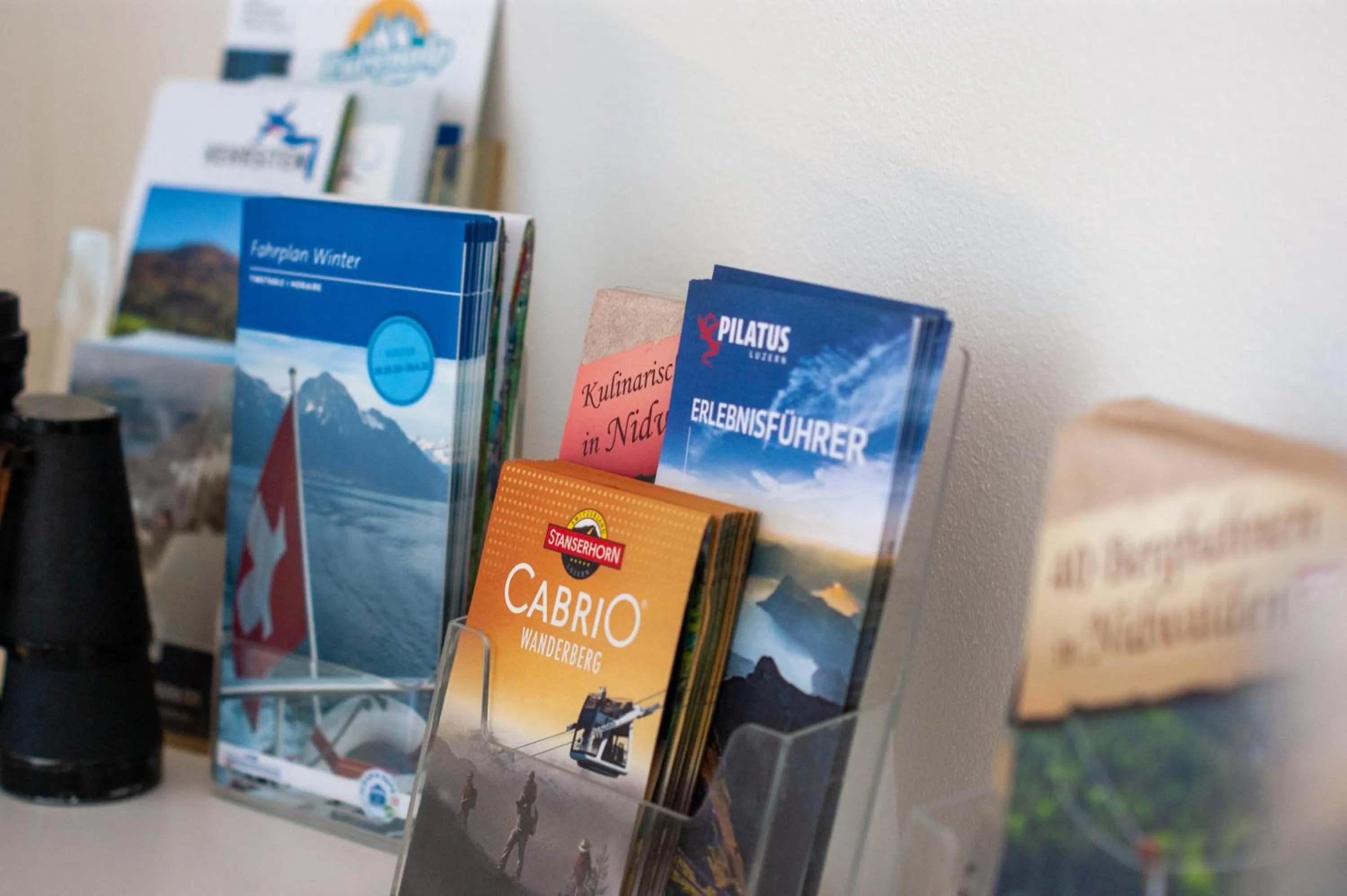 Decorative detail in Budget rooms Pilatus - Alpnachstad