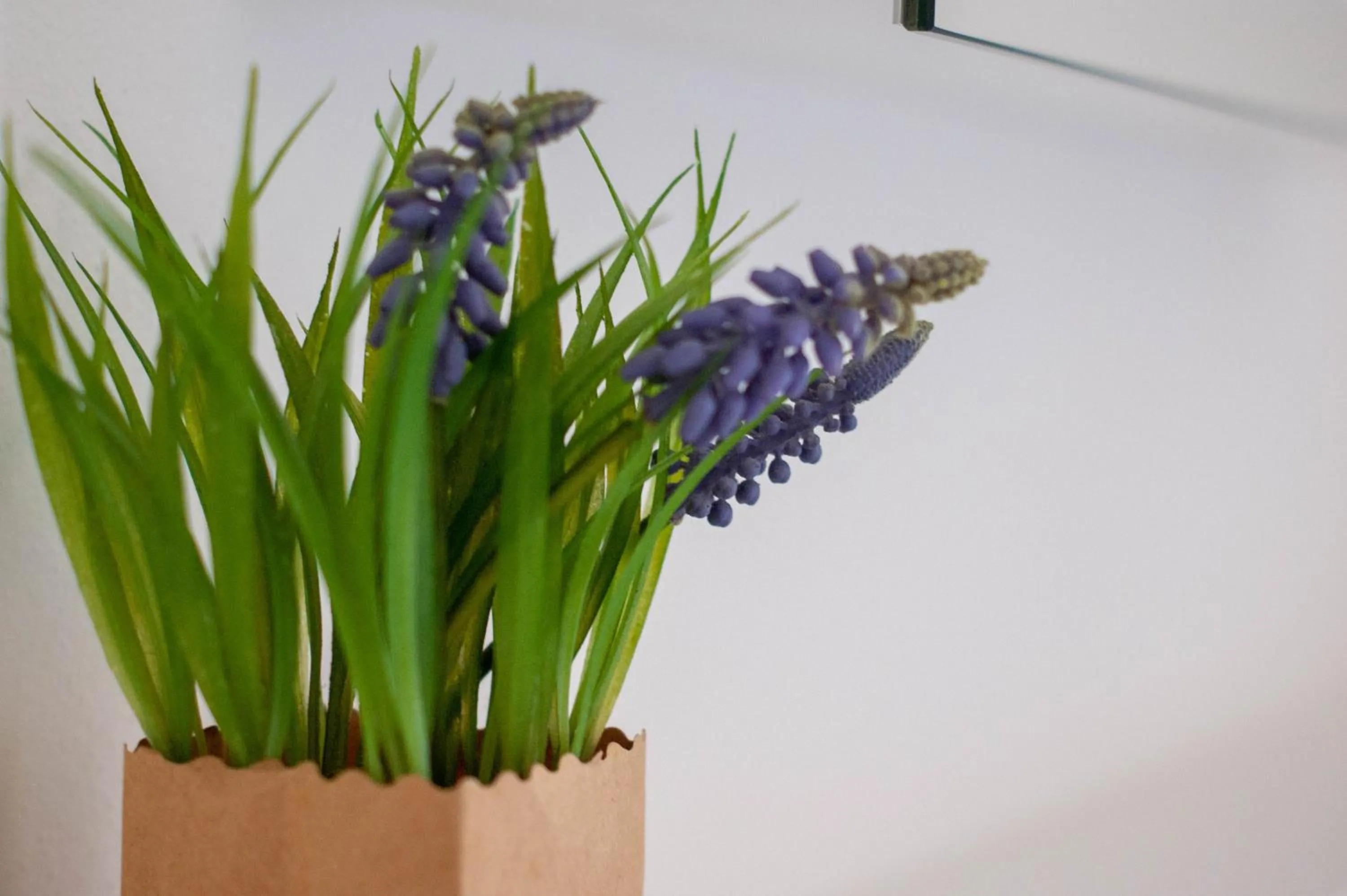 Decorative detail in Budget rooms Pilatus - Alpnachstad