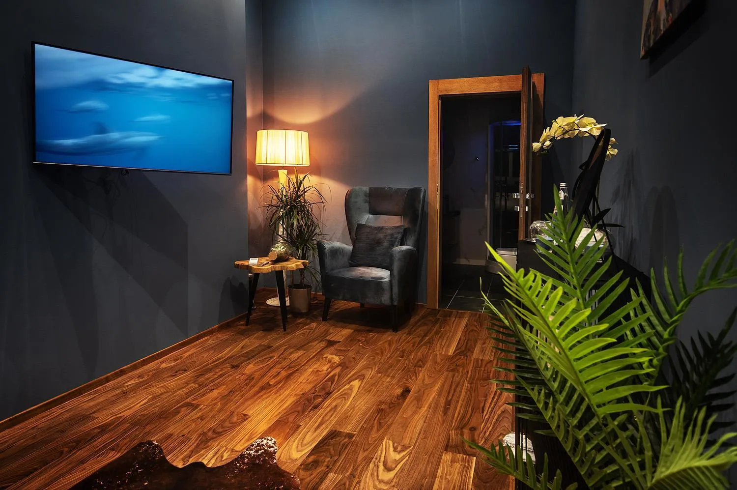 Communal lounge/ TV room in ELVIRA SELECTION by Lotus