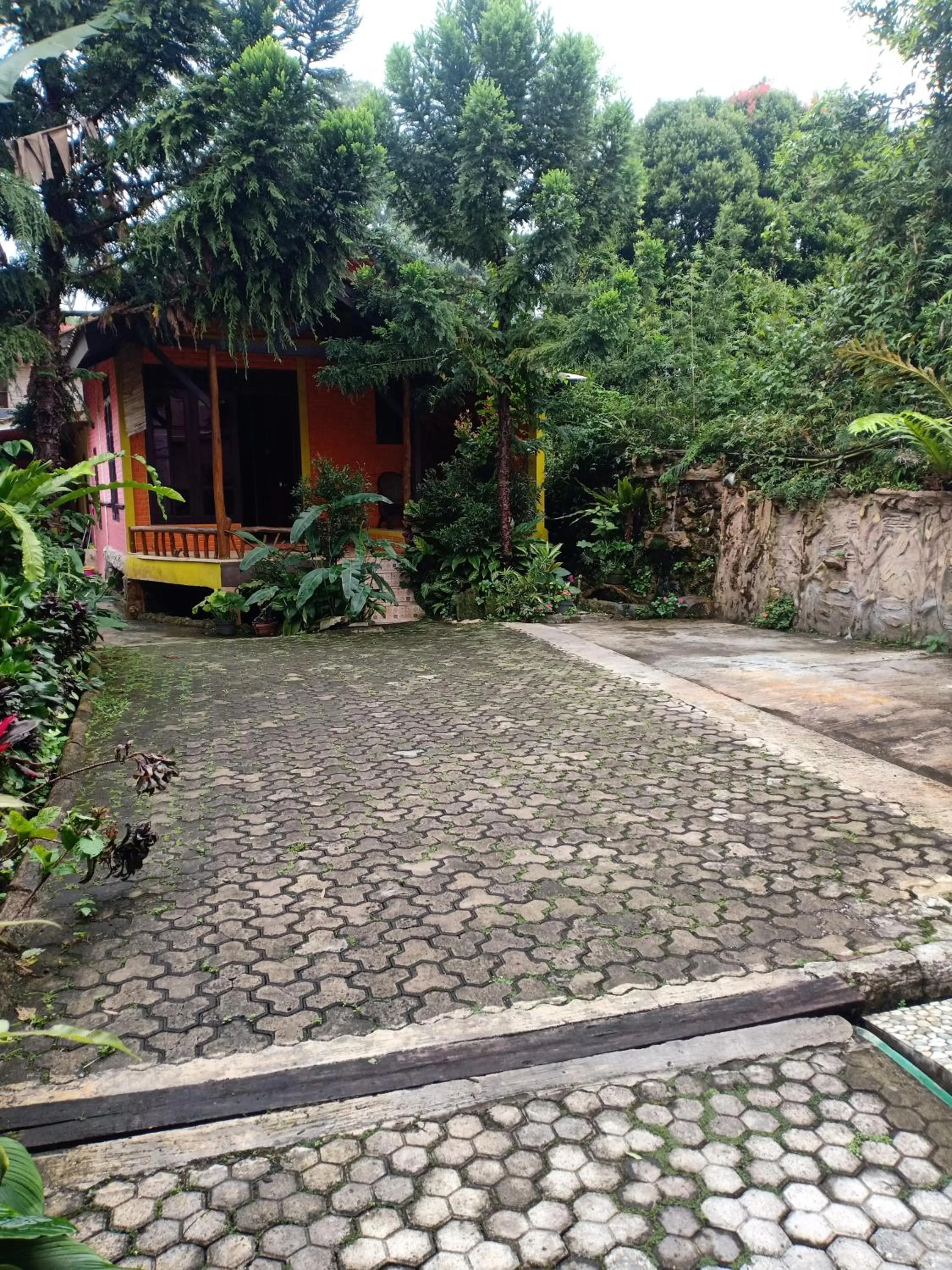 Garden in Penginapan Dinafizka