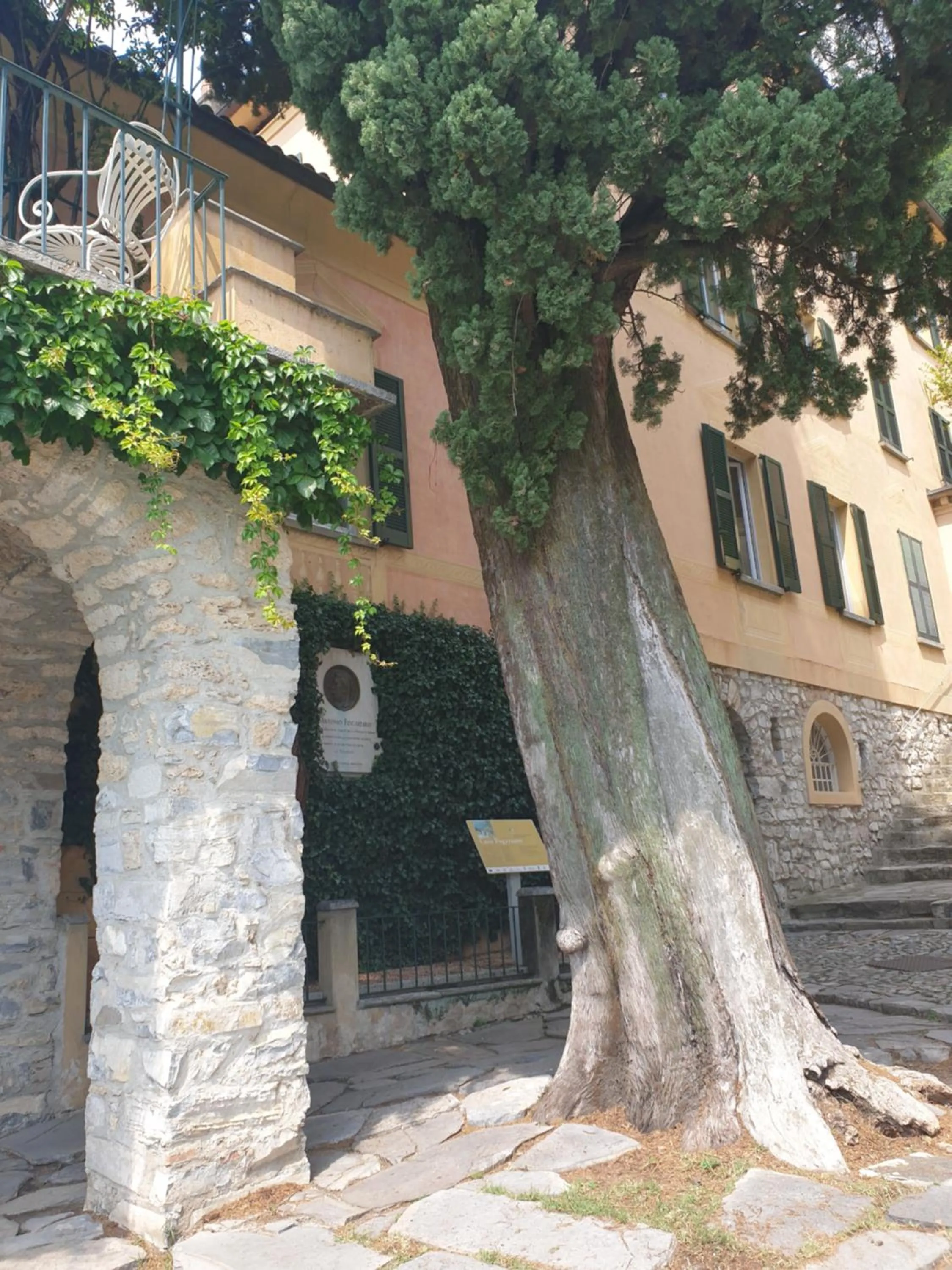 Caffè del Viaggiatore