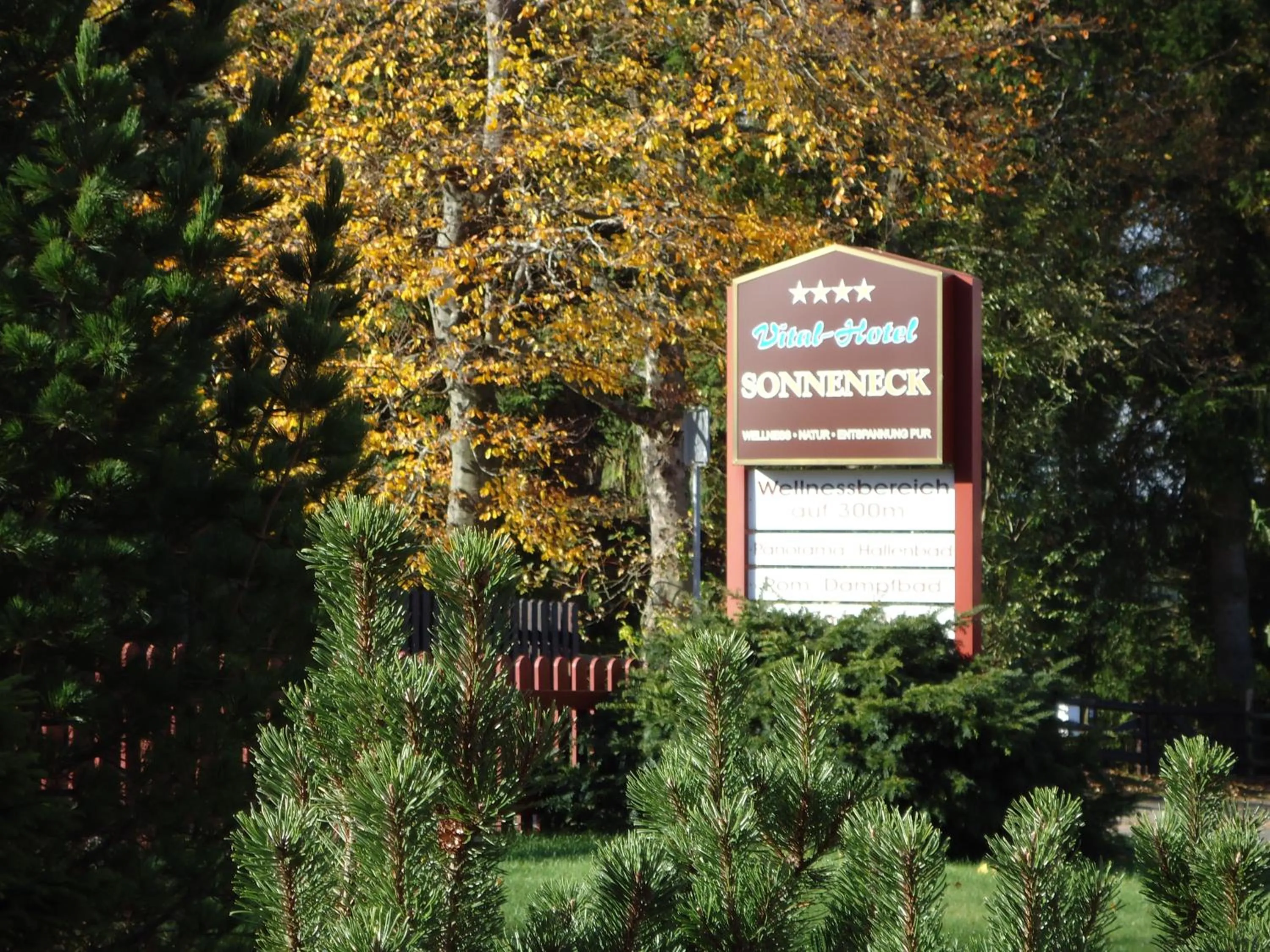 Garden in Vitalhotel Sonneneck