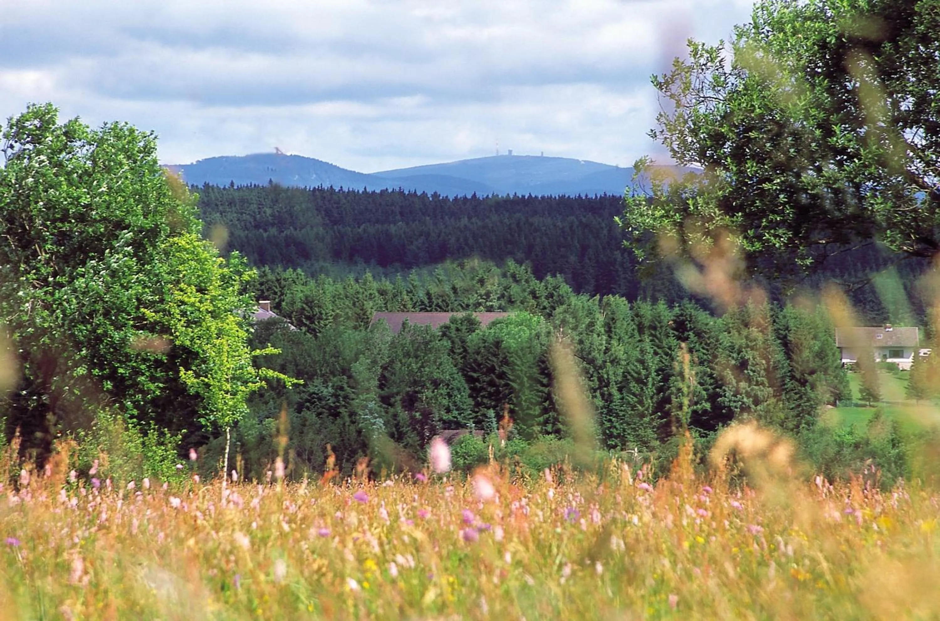 Natural landscape in Vitalhotel Sonneneck