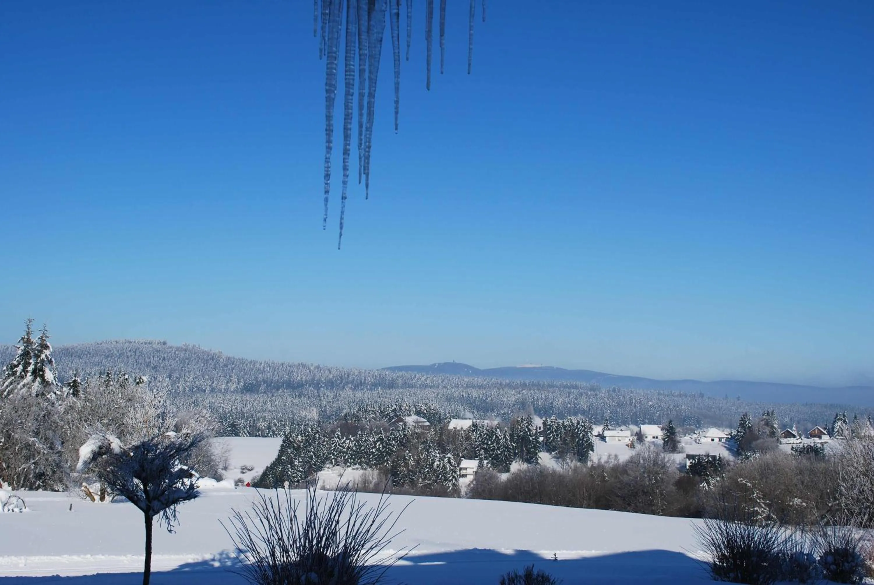 Natural landscape in Vitalhotel Sonneneck