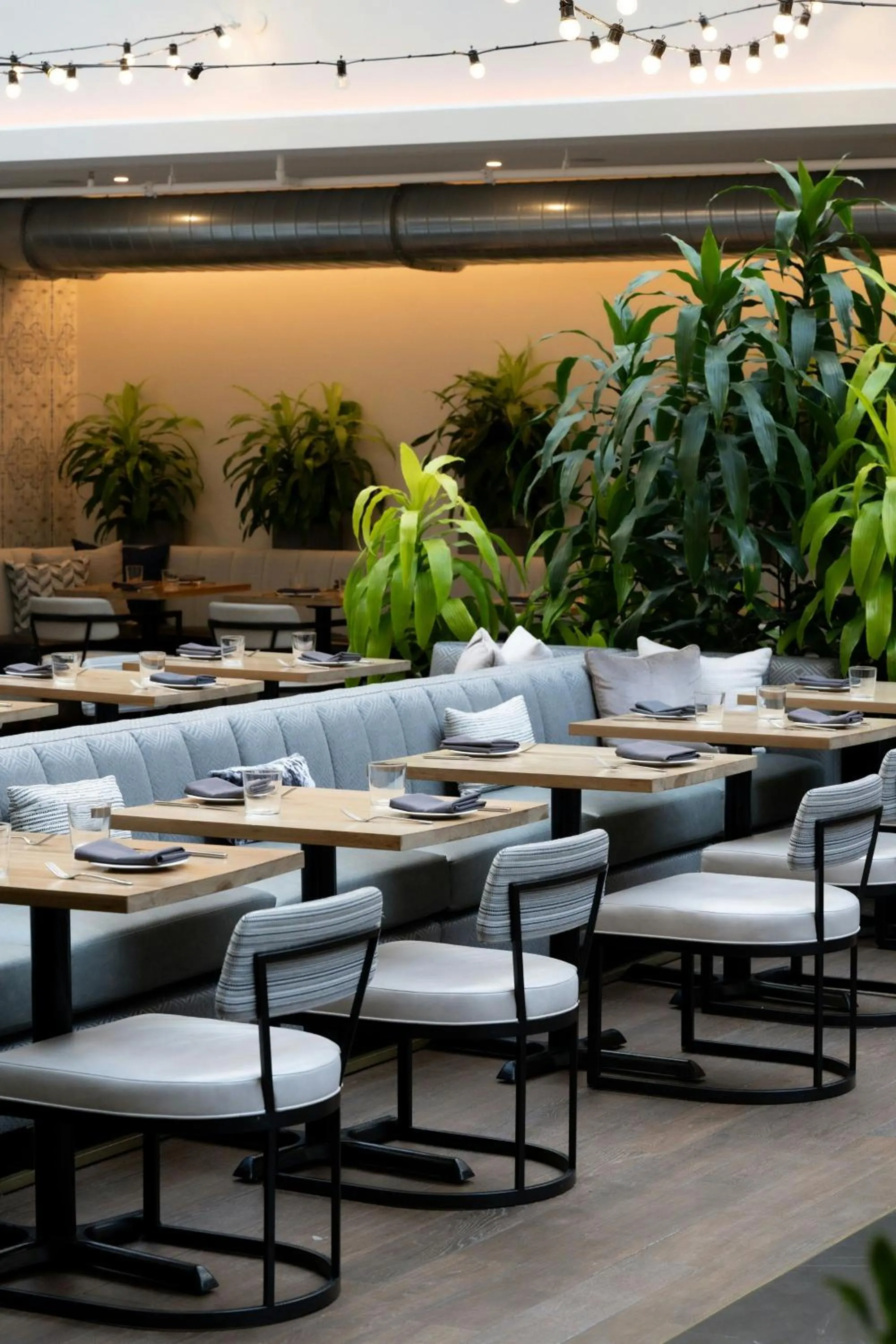 Restaurant/places to eat in Rand Tower Hotel, Minneapolis, a Tribute Portfolio Hotel