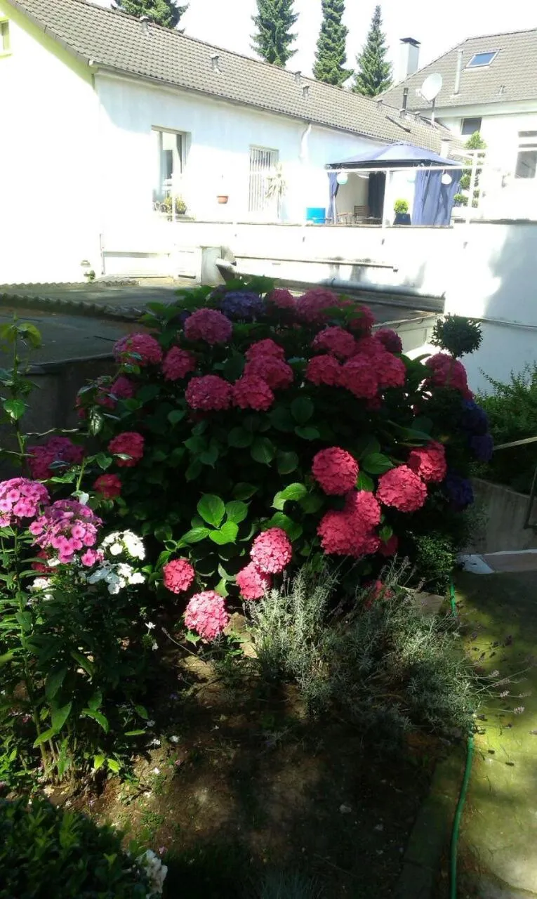Natural landscape in Hotel Hölscher