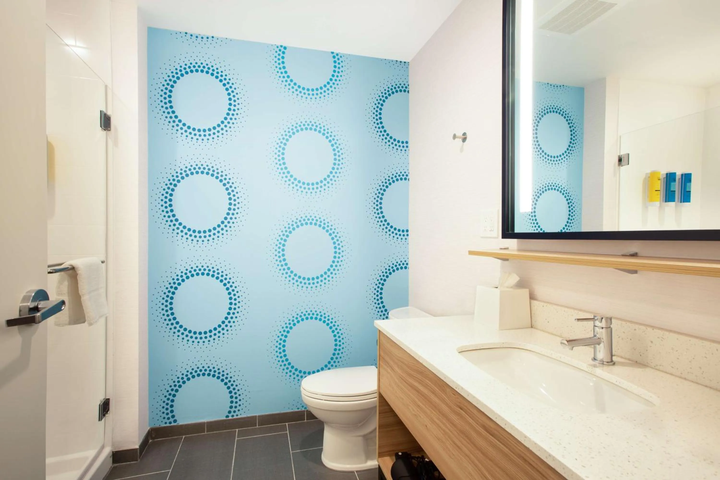 Bathroom in Tru by Hilton Asheville Blue Ridge Parkway