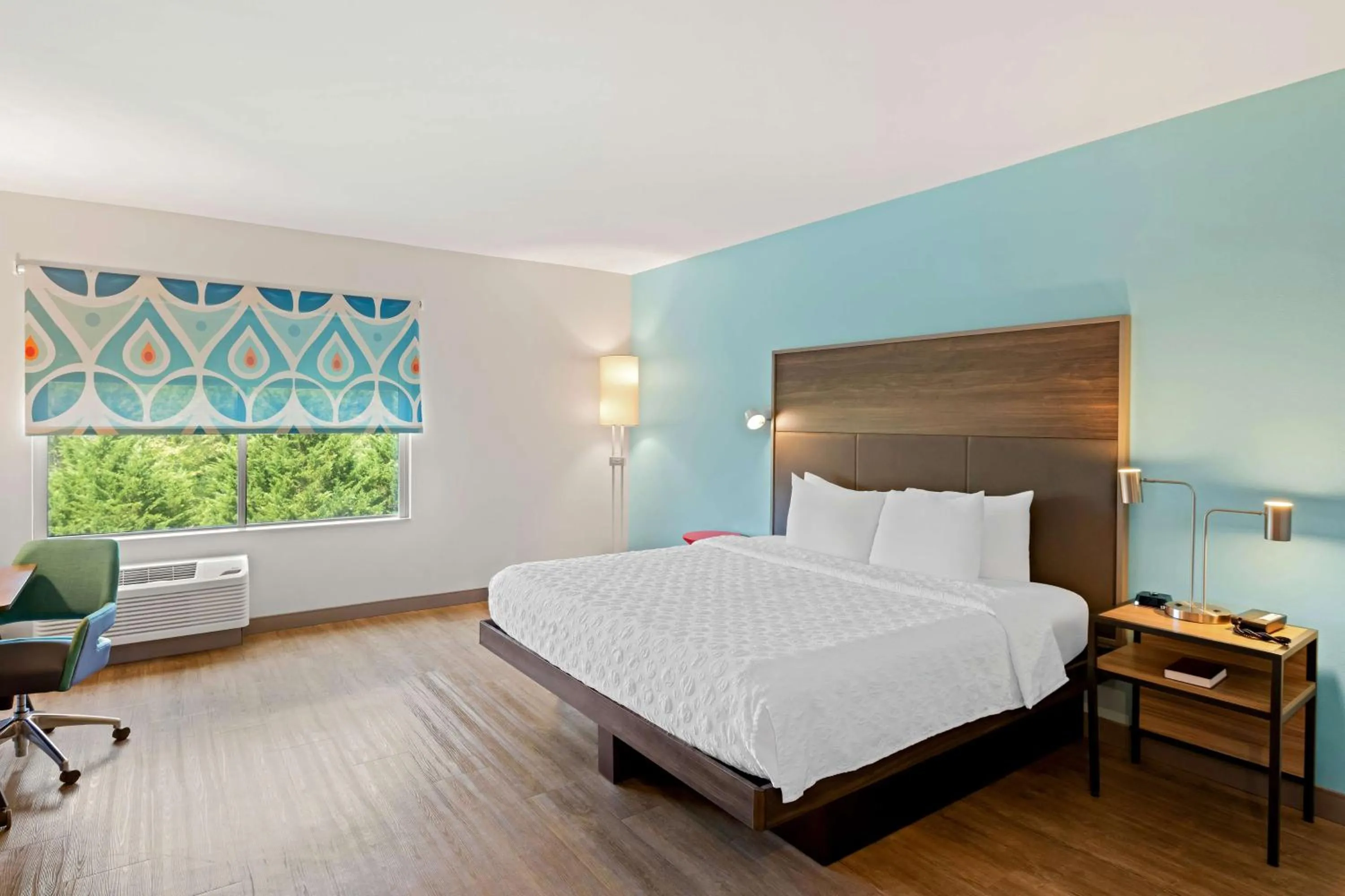 Bed in Tru by Hilton Asheville Blue Ridge Parkway