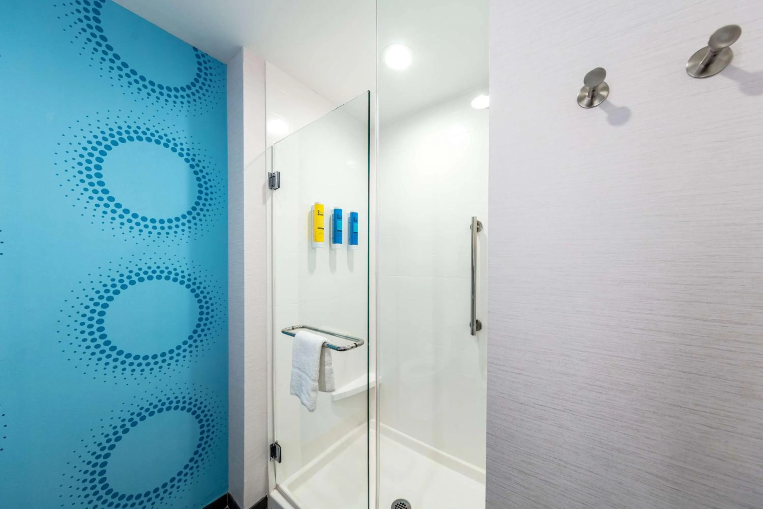 Bathroom in Tru by Hilton Asheville Blue Ridge Parkway