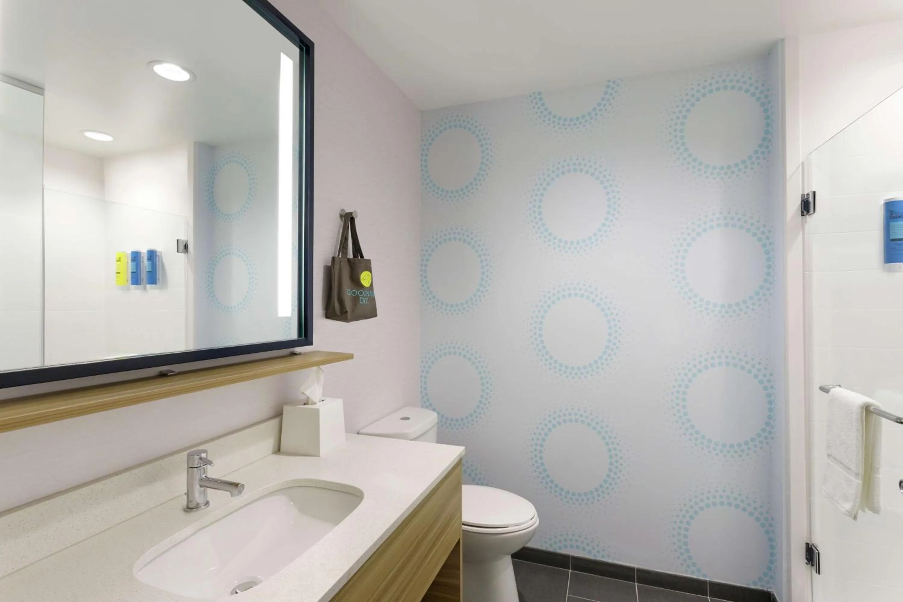 Bathroom in Tru By Hilton Frisco Dallas, Tx