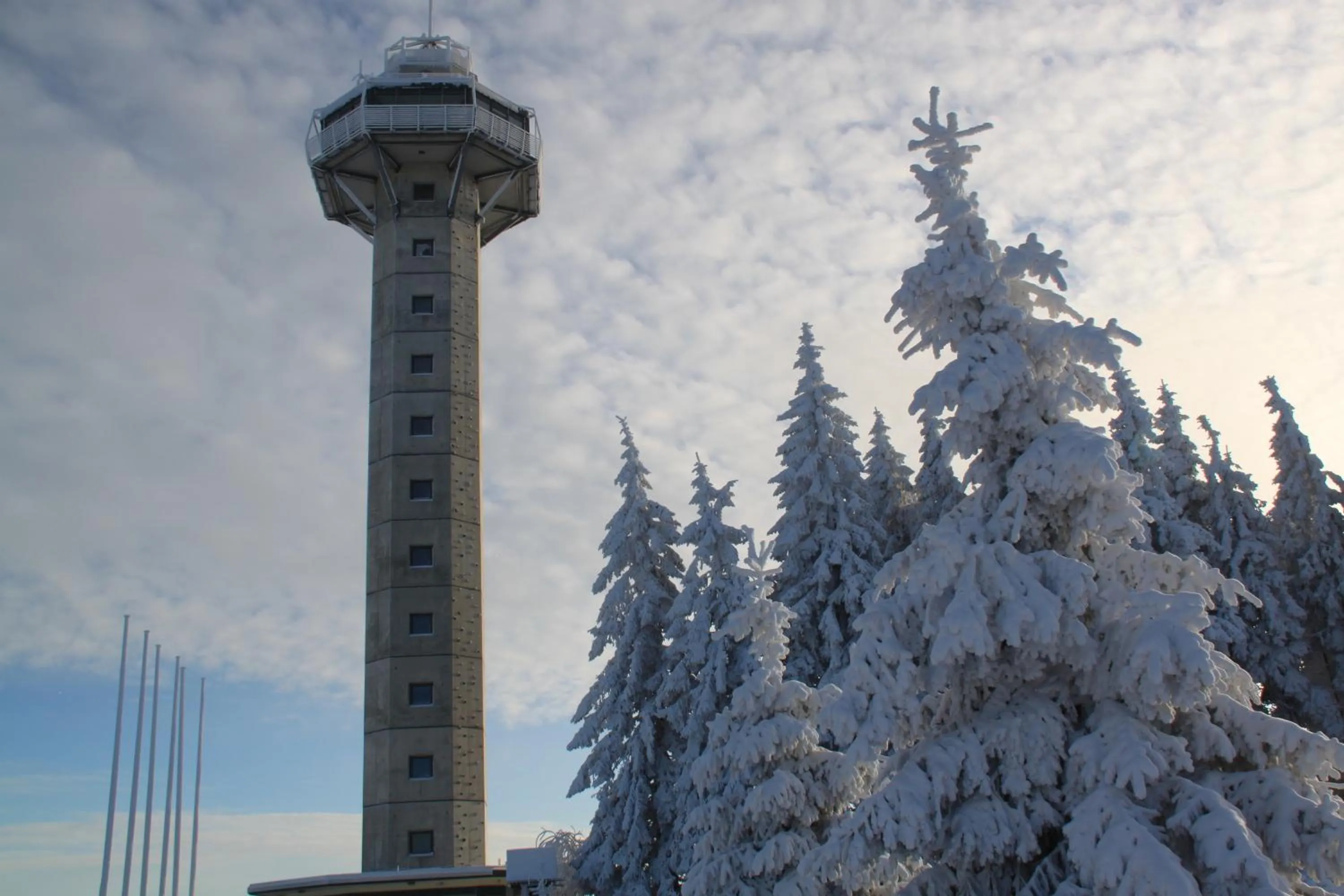 Area and facilities in Hotel Hochheide