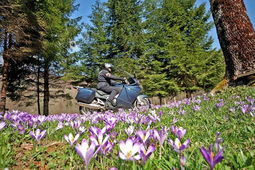 Spring in Hotel Sauerbrey