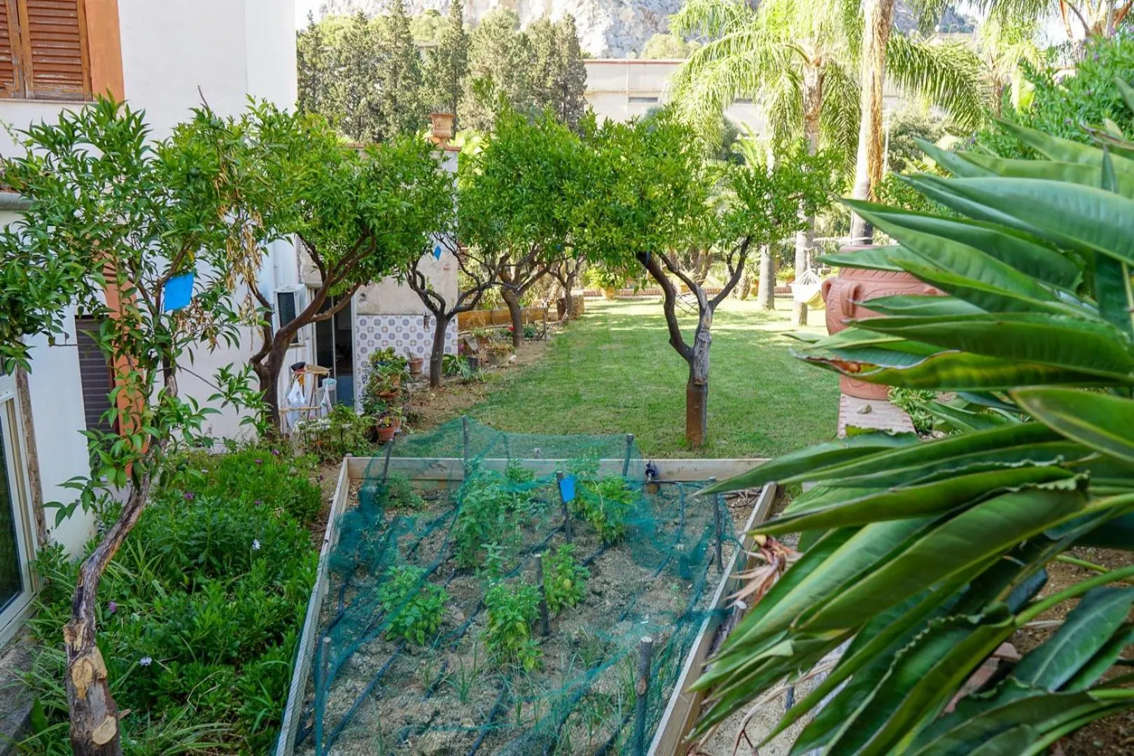 Garden in Villa Caterina - Solemar Sicilia