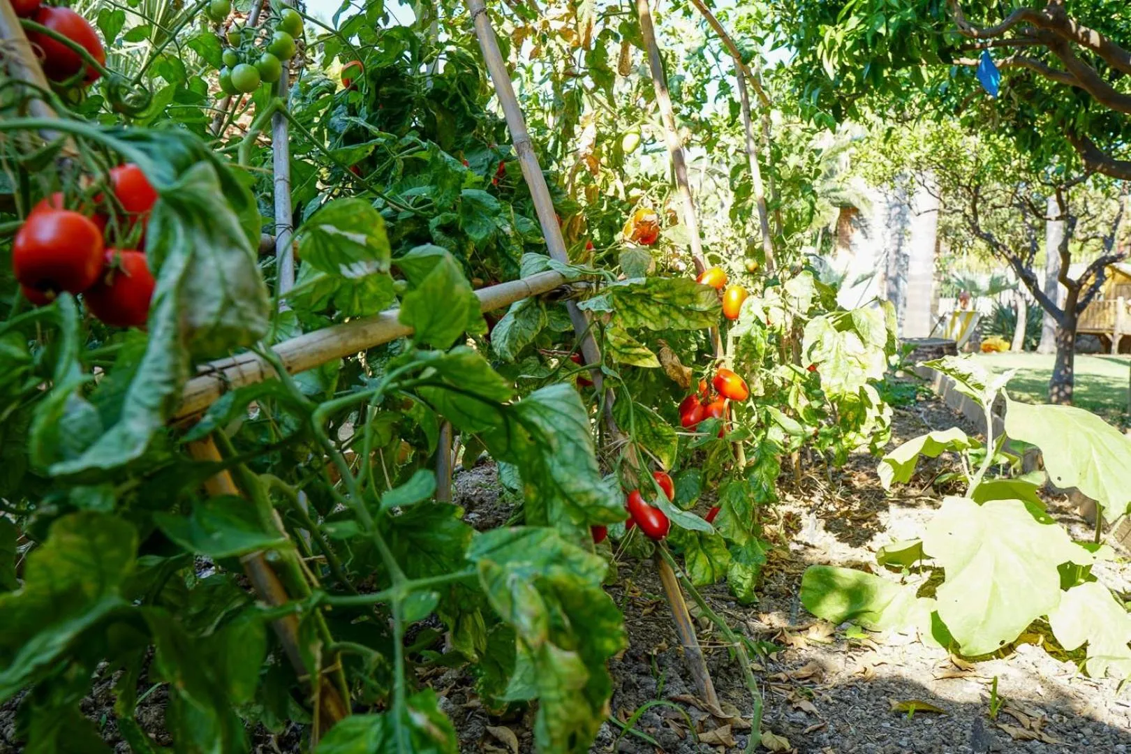 Food in Villa Caterina - Solemar Sicilia