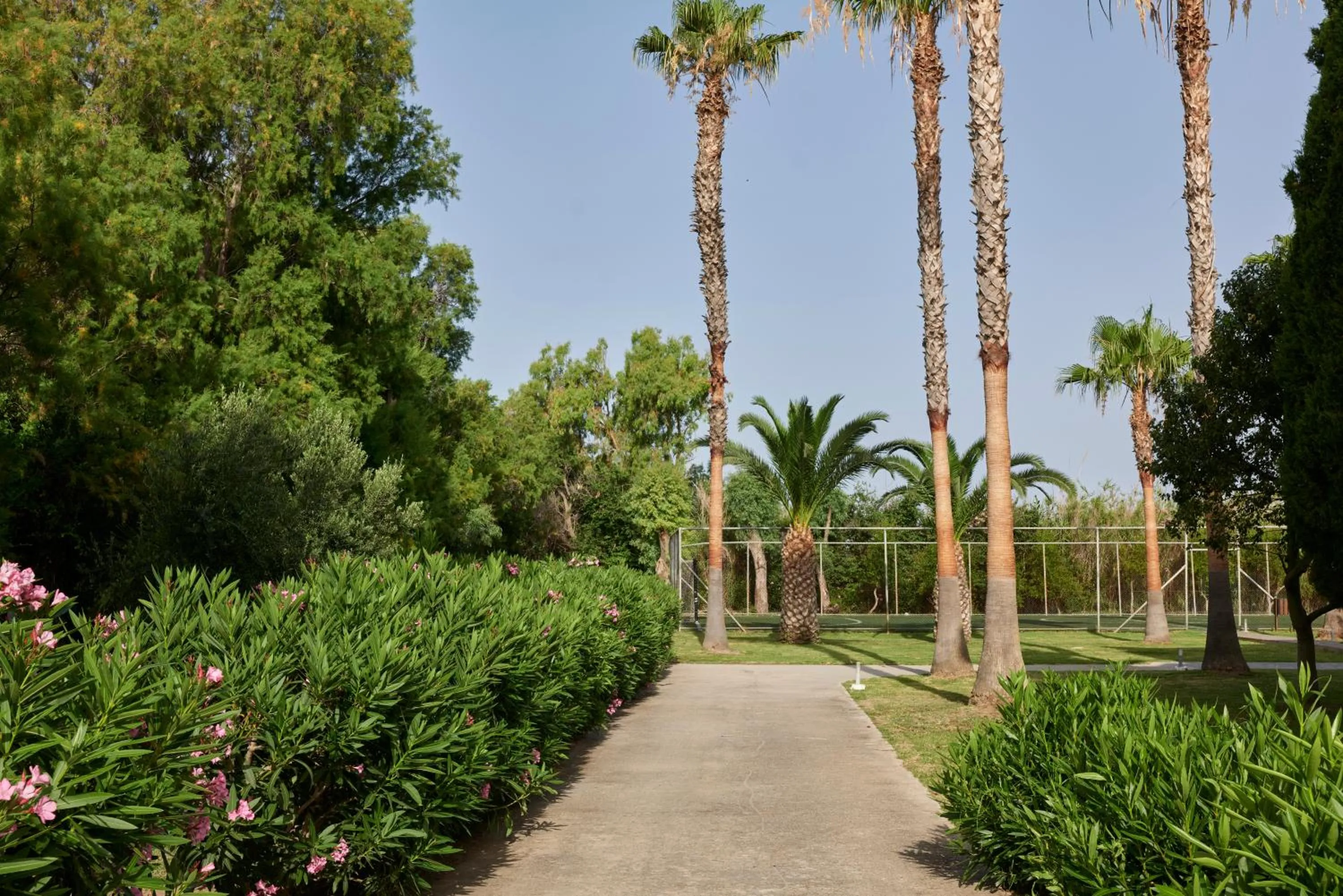 Garden in Atlantica Thalassa Hotel