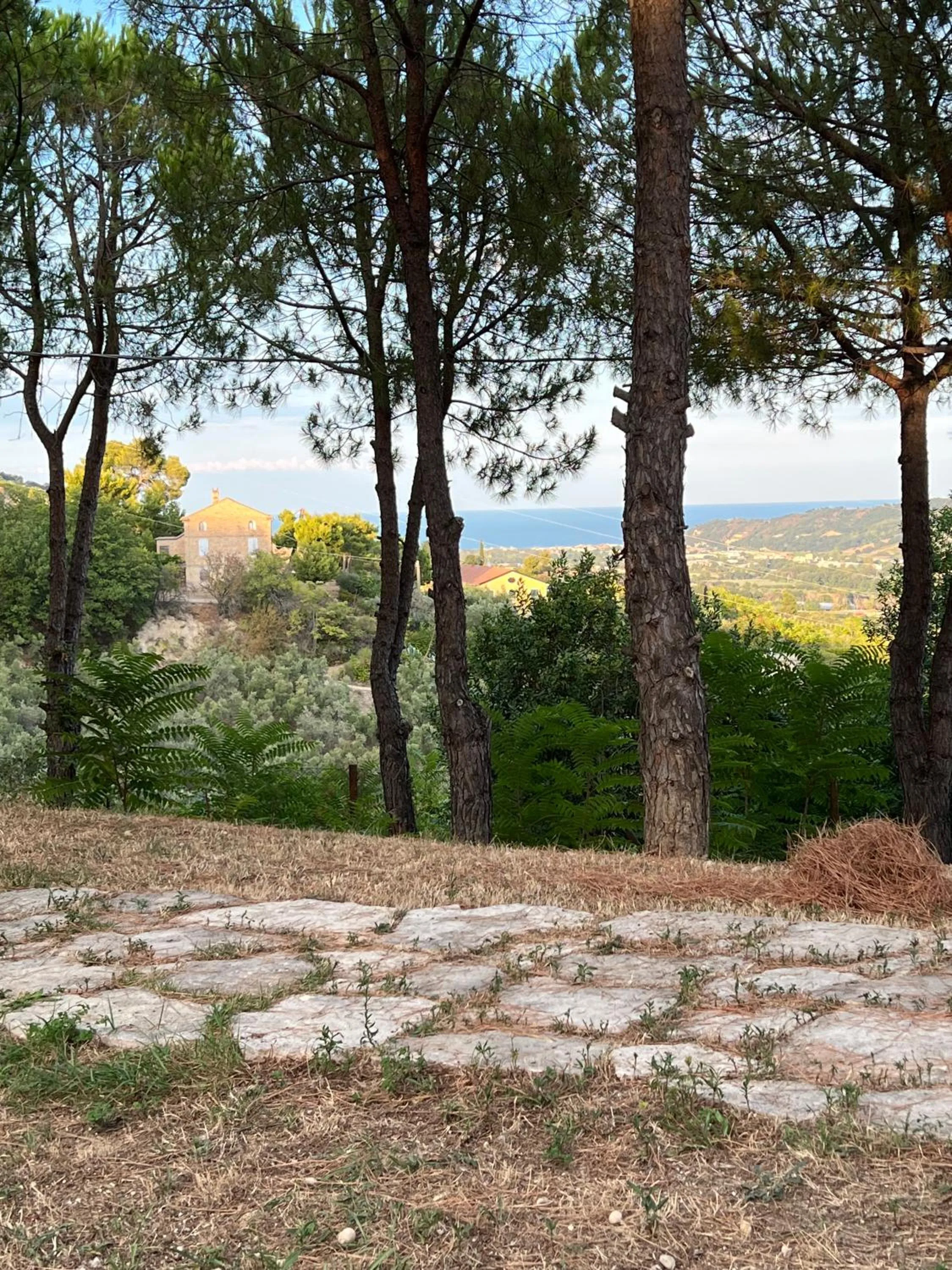 Day in GreenValley BnB