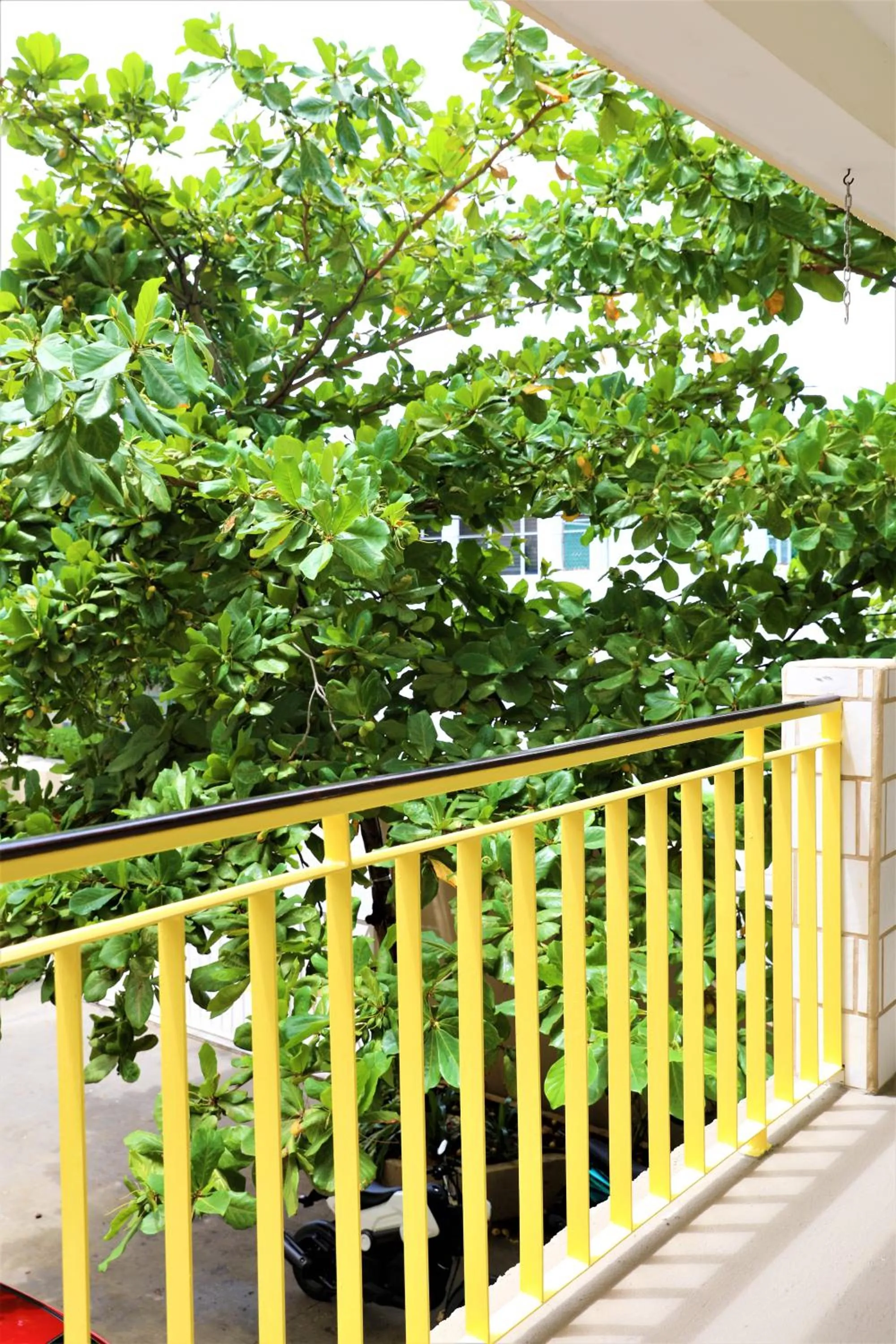 Property building in Hotel 12 BEES by Kavia