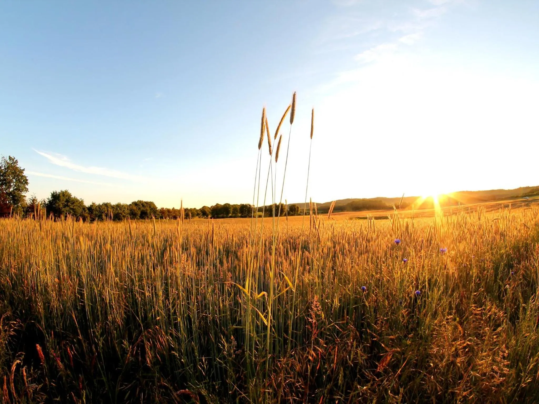Natural landscape in R&R Hotel Strandallee