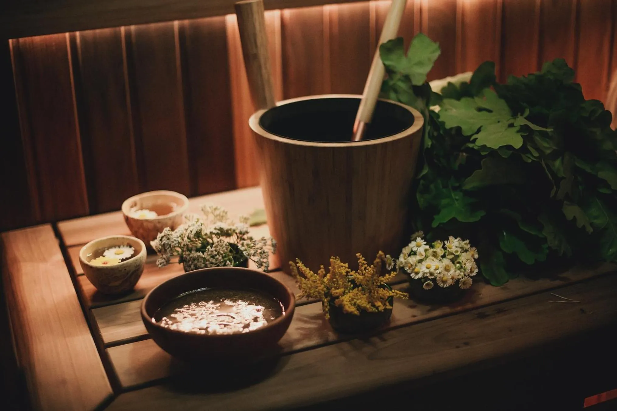 Spa and wellness centre/facilities in "Parko vila" Anykščiai