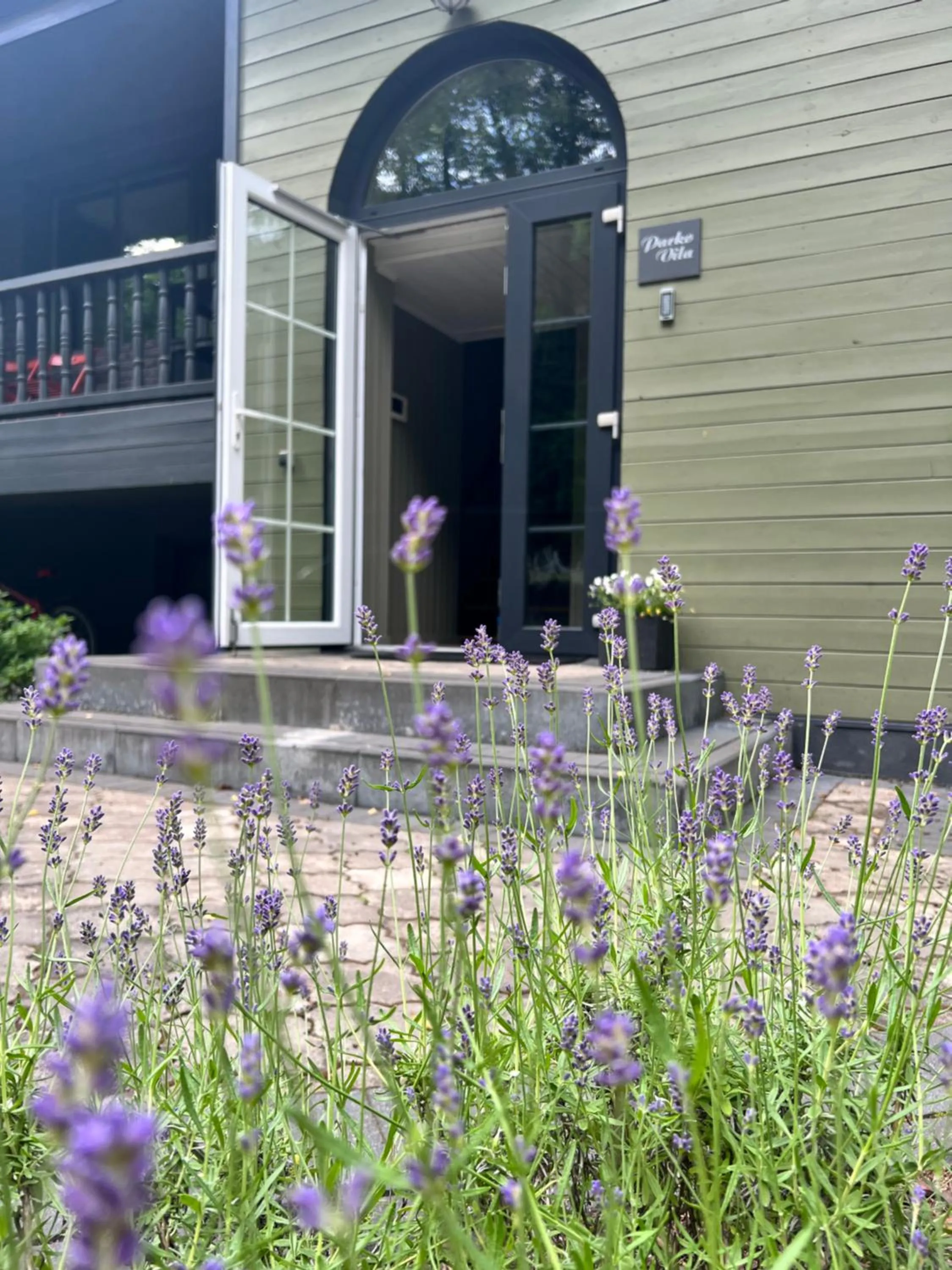 Property building in "Parko vila" Anykščiai