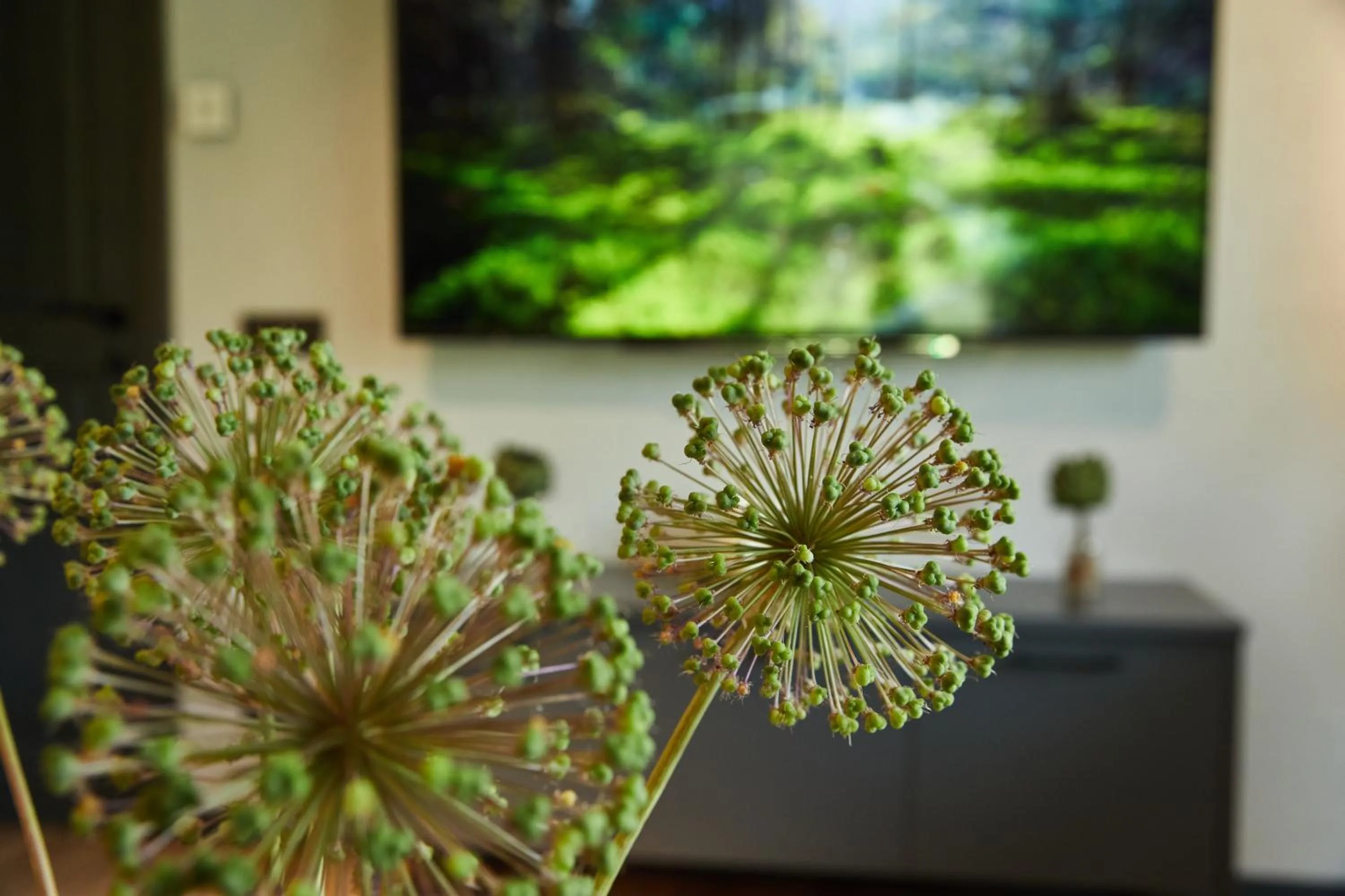 Spa and wellness centre/facilities in "Parko vila" Anykščiai