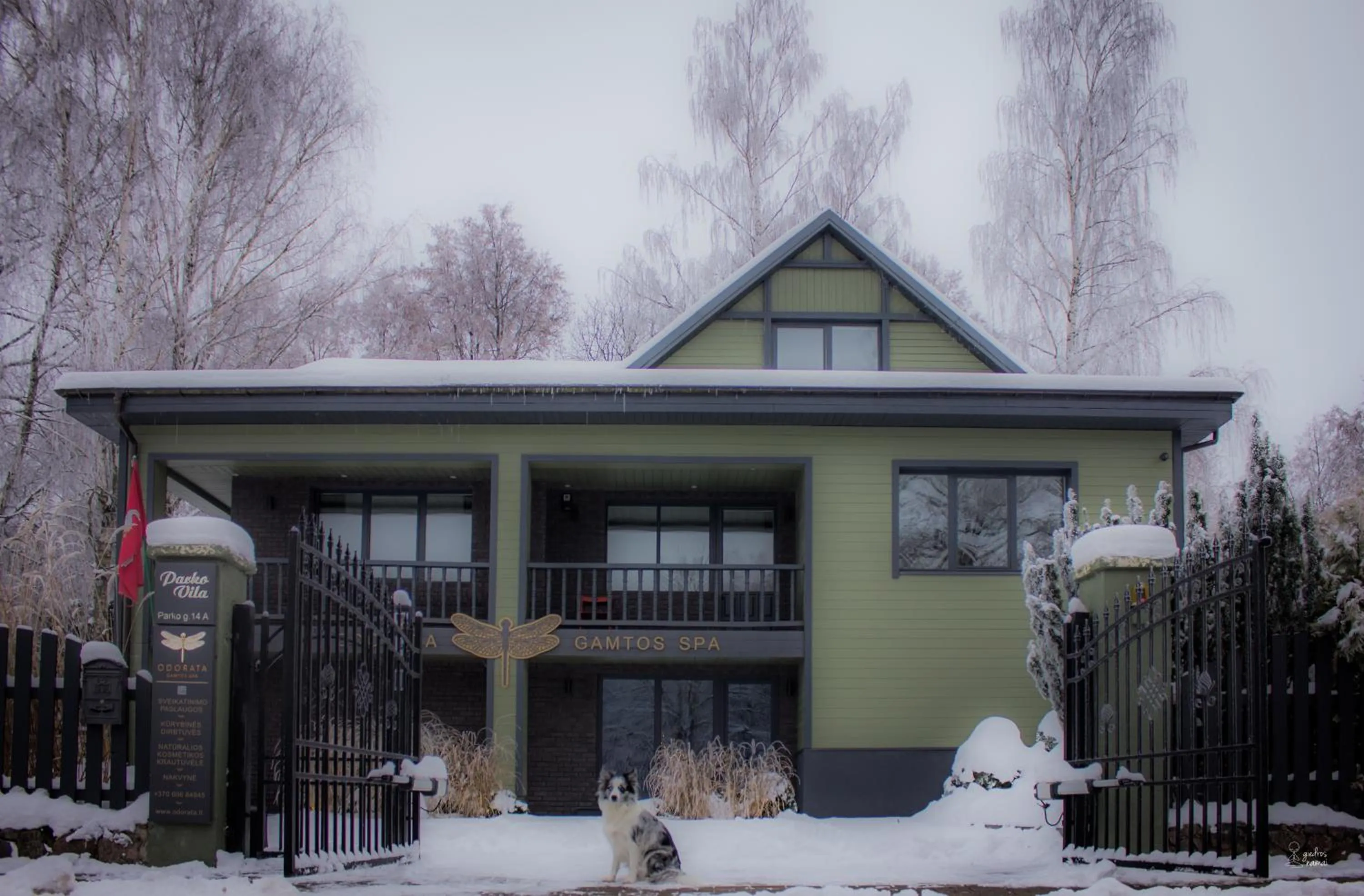 Property building in "Parko vila" Anykščiai