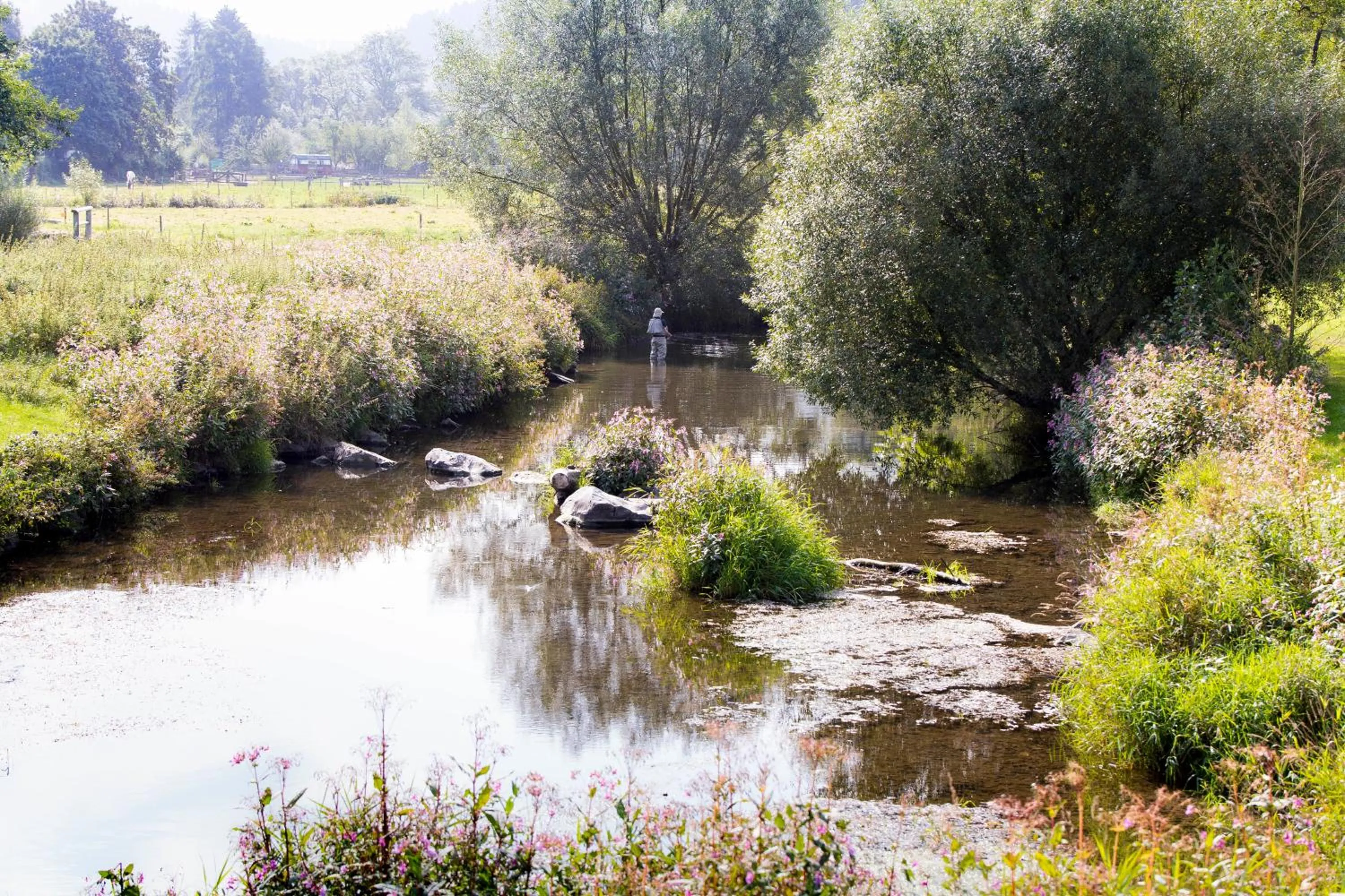 Fishing in Landidyll Hotel Haus Hochstein