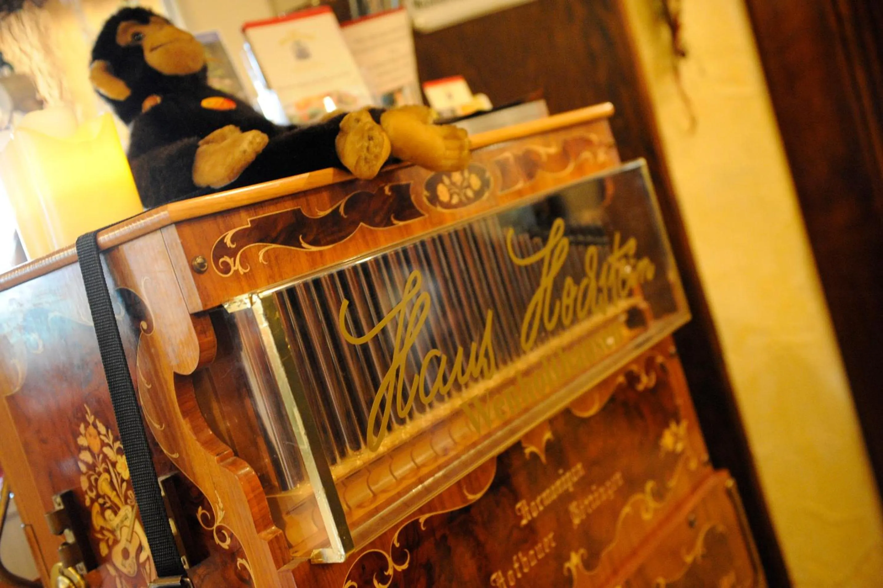 Entertainment in Landidyll Hotel Haus Hochstein