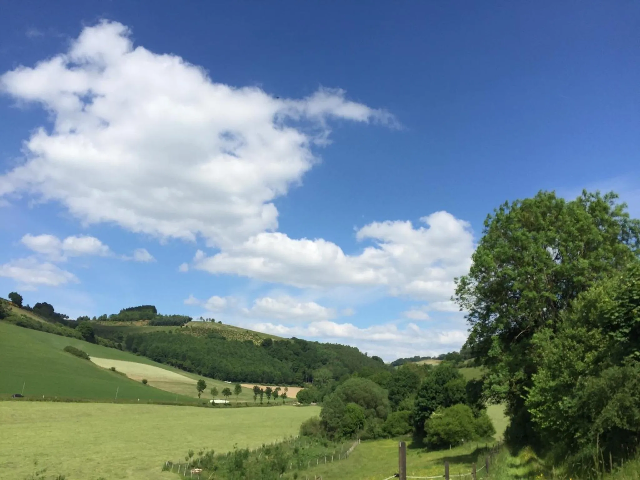 Natural landscape in Landidyll Hotel Haus Hochstein